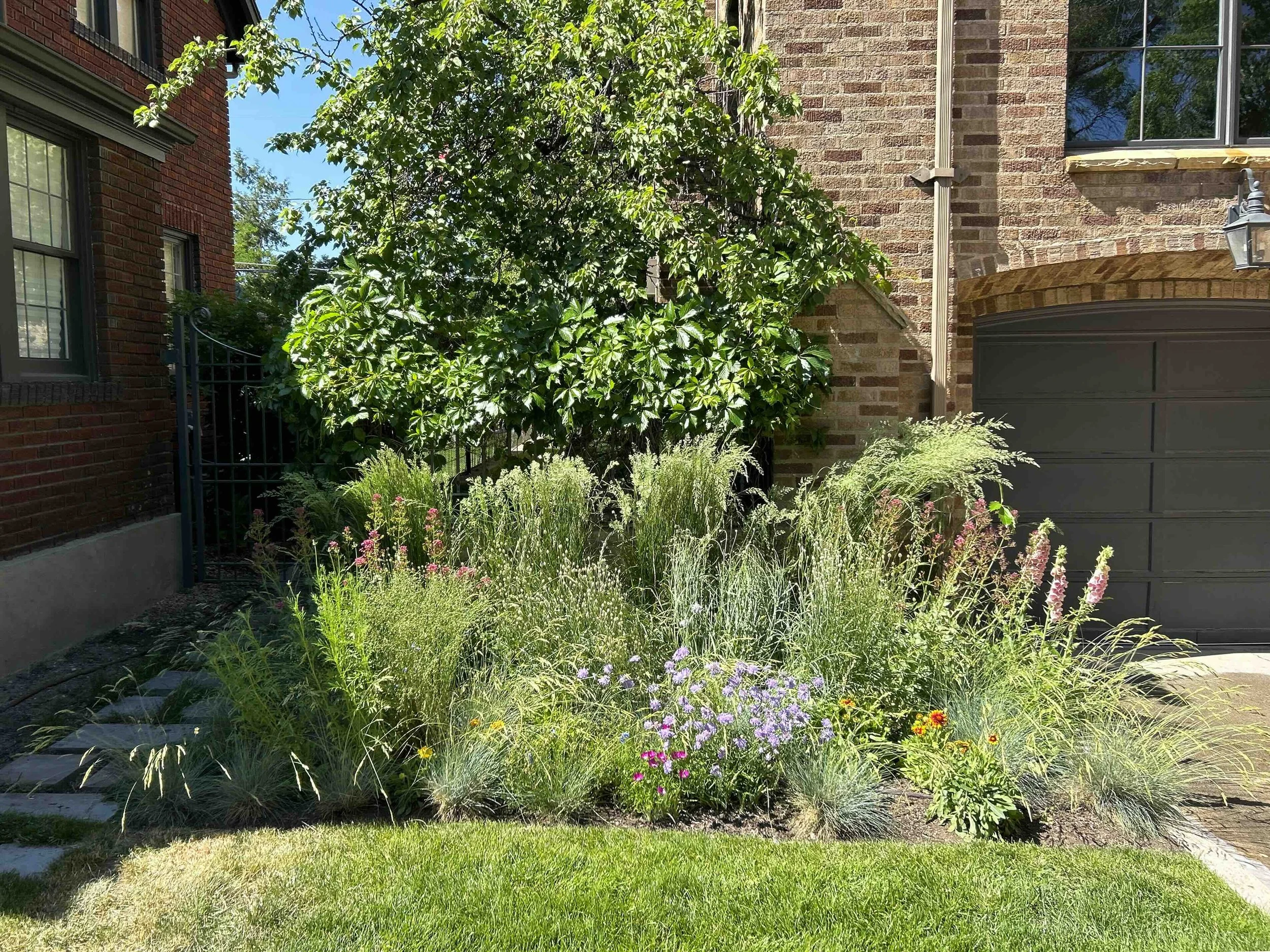 A residential garden with lush green foliage, colorful flowers, and a brick house in the background under a clear blue sky.