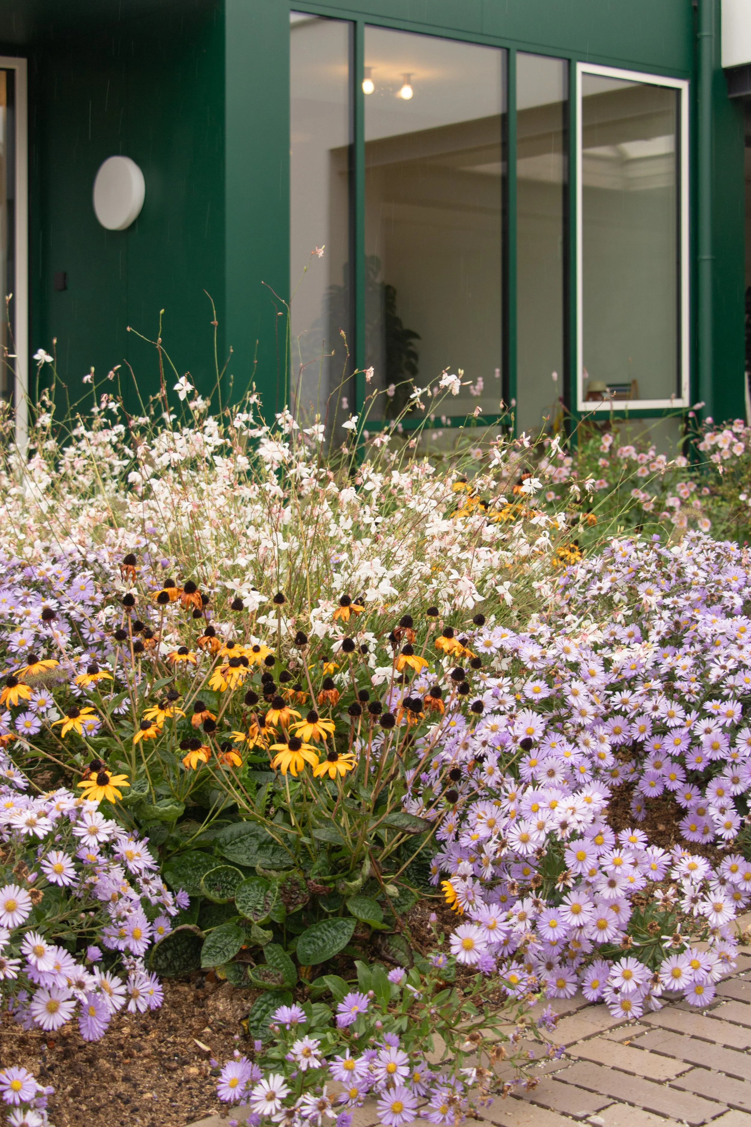 Bloemen voor een groene woning met grote ramen, bloemen in paars, wit en geel, met een tegelpad.