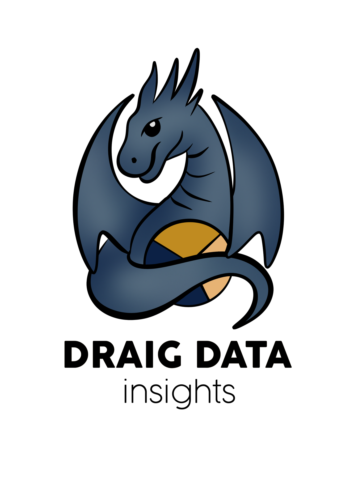 Draig Data Insights