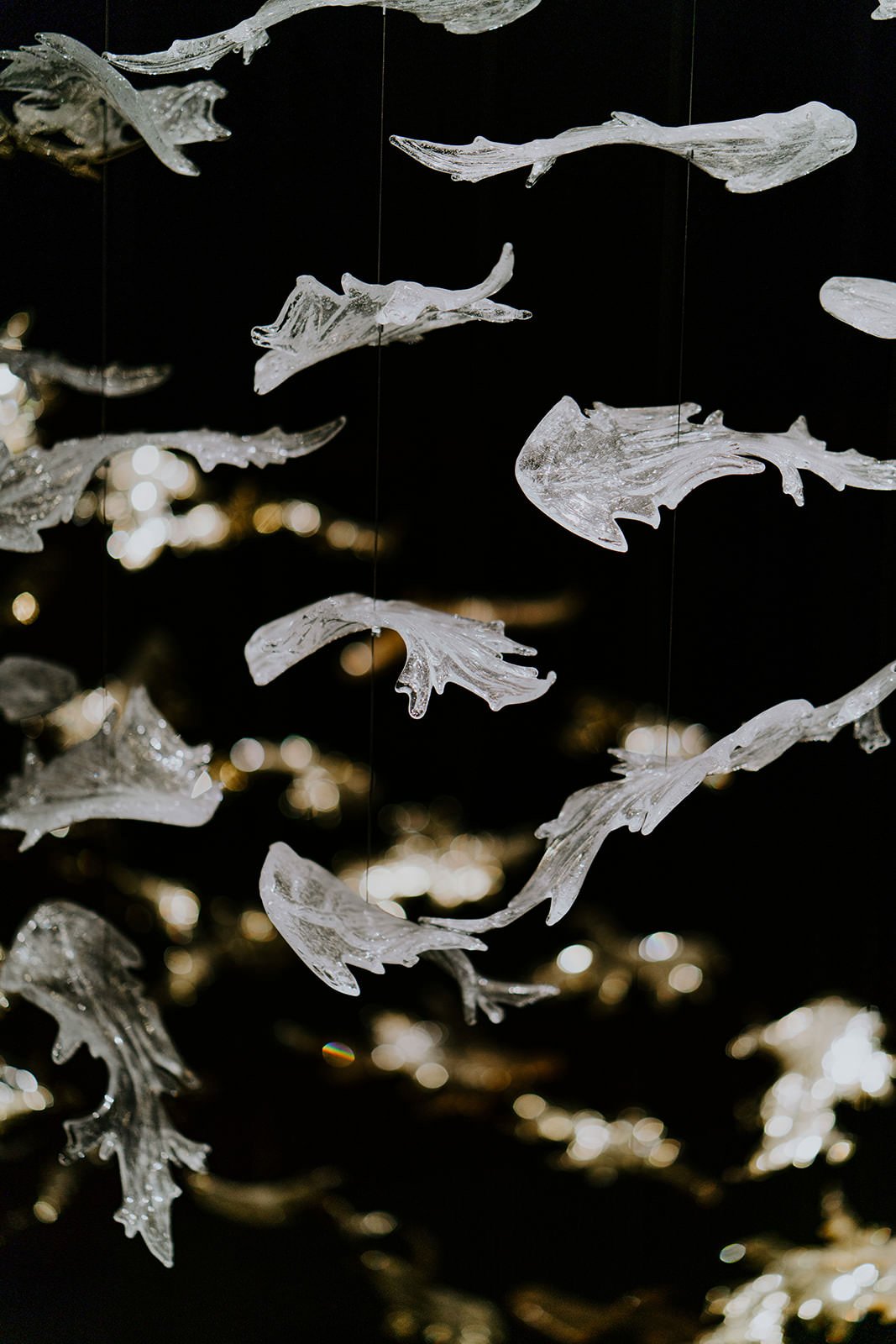 Drawn2Design Nov 21-59.jpg