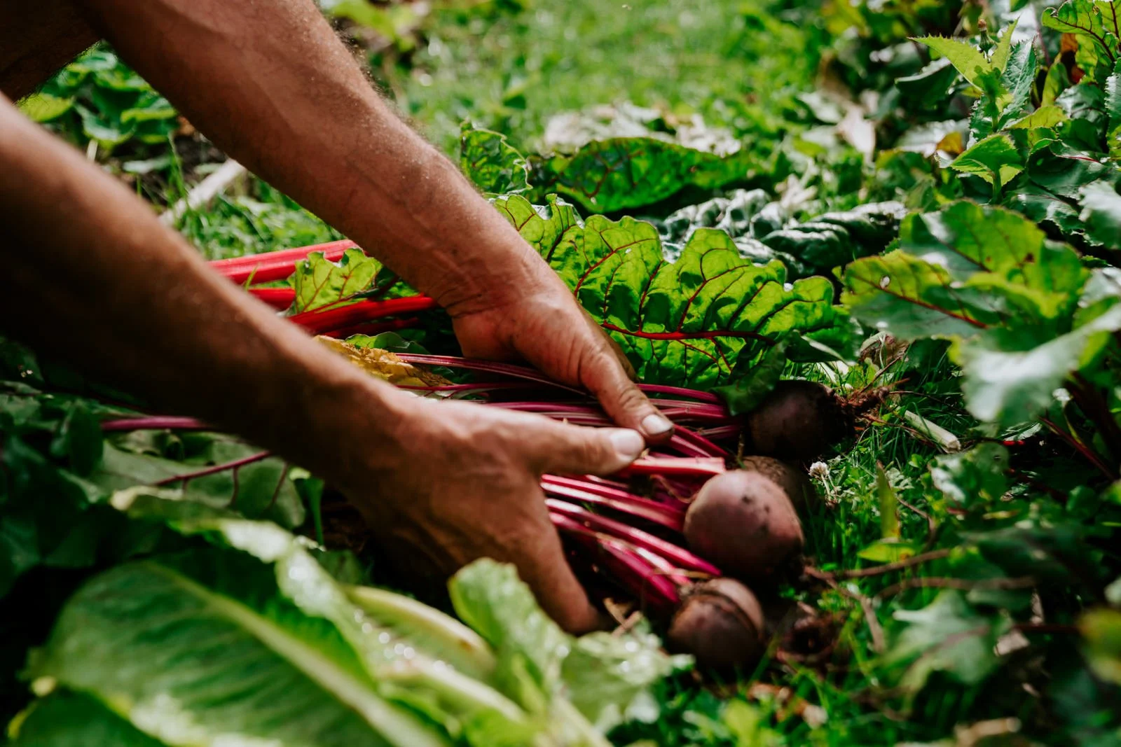 Brand photography manchester-102.jpg