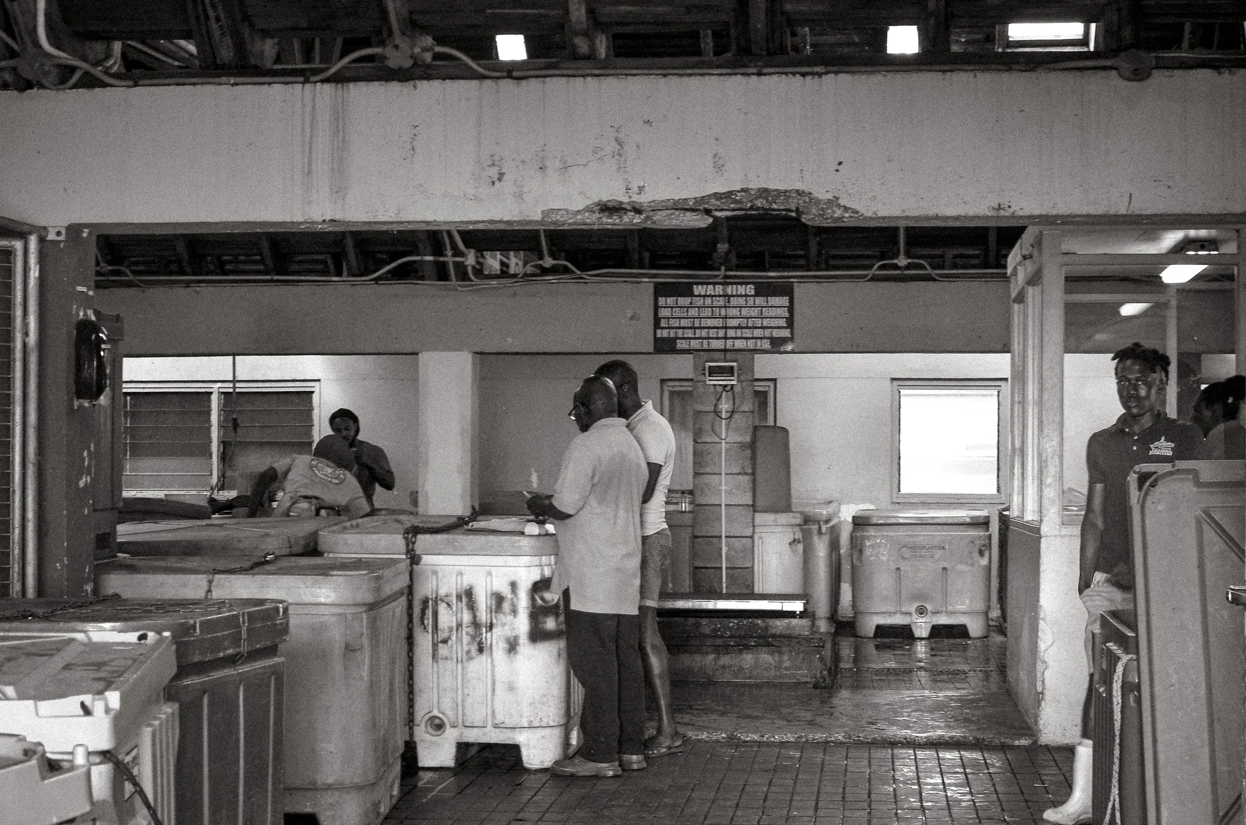 Fishermen at work inside the Fish Processing Hall. Oistins, Barbados. December 2022.