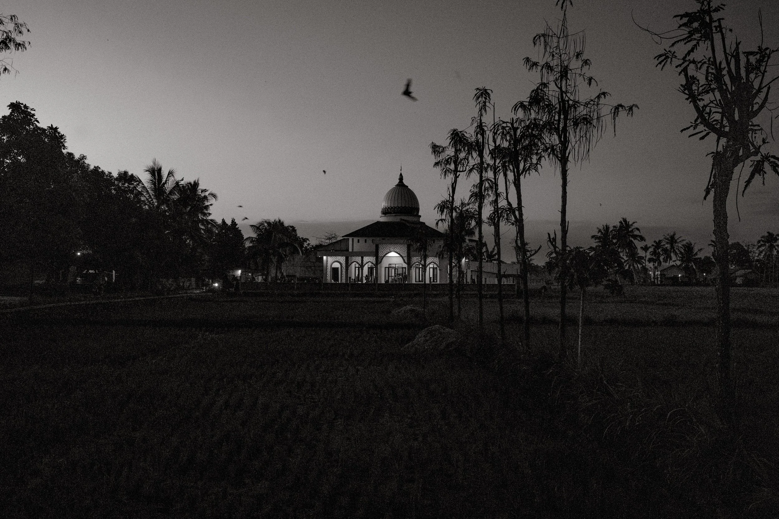 The village mosque stands across rice fields after dark