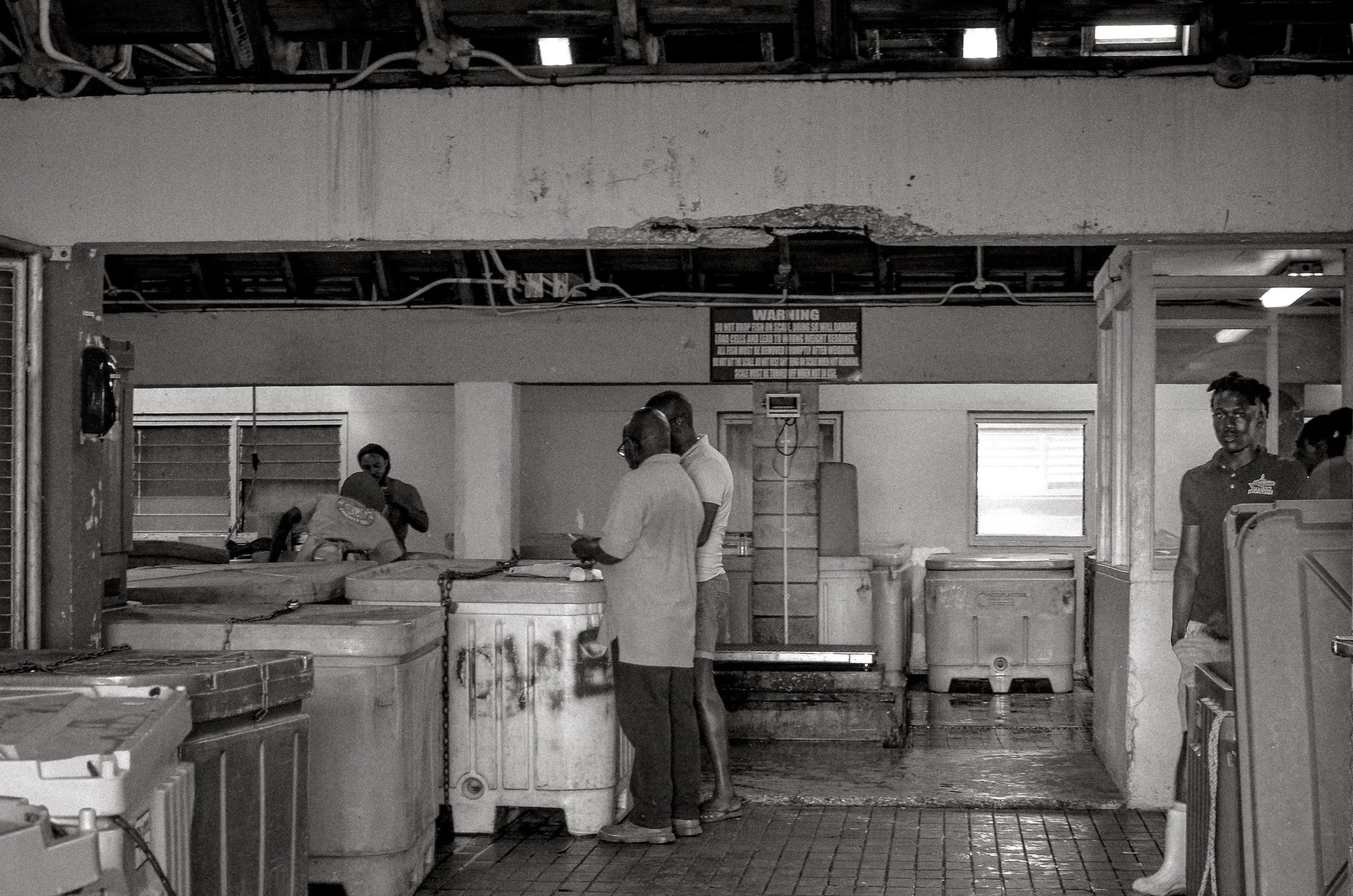 Work underway among coolers and wet floors in the processing area