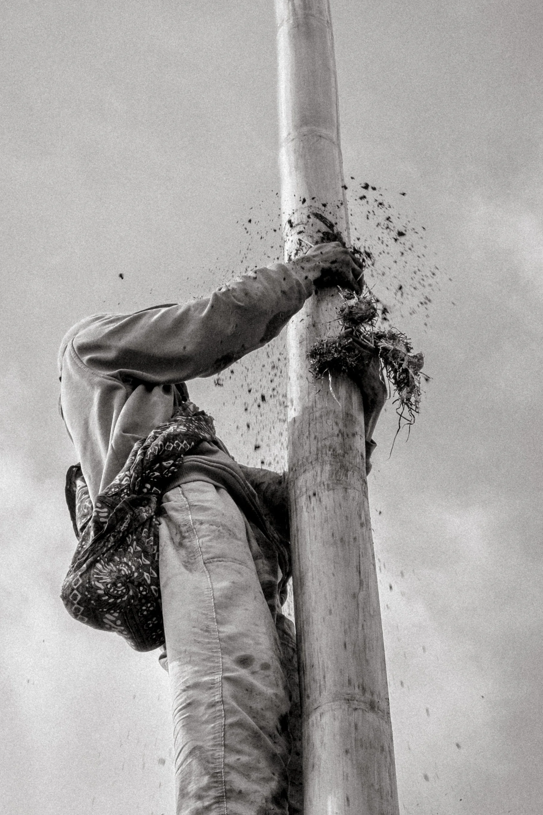 A climber uses a Tenggerese sapu-tangan (sarung), filled with mud to improve grip, as he ascends the greasy pole. Sapu-tangan are commonly worn as multipurpose work cloths. Ngadas, East Java, Indonesia. 21 August 2025.