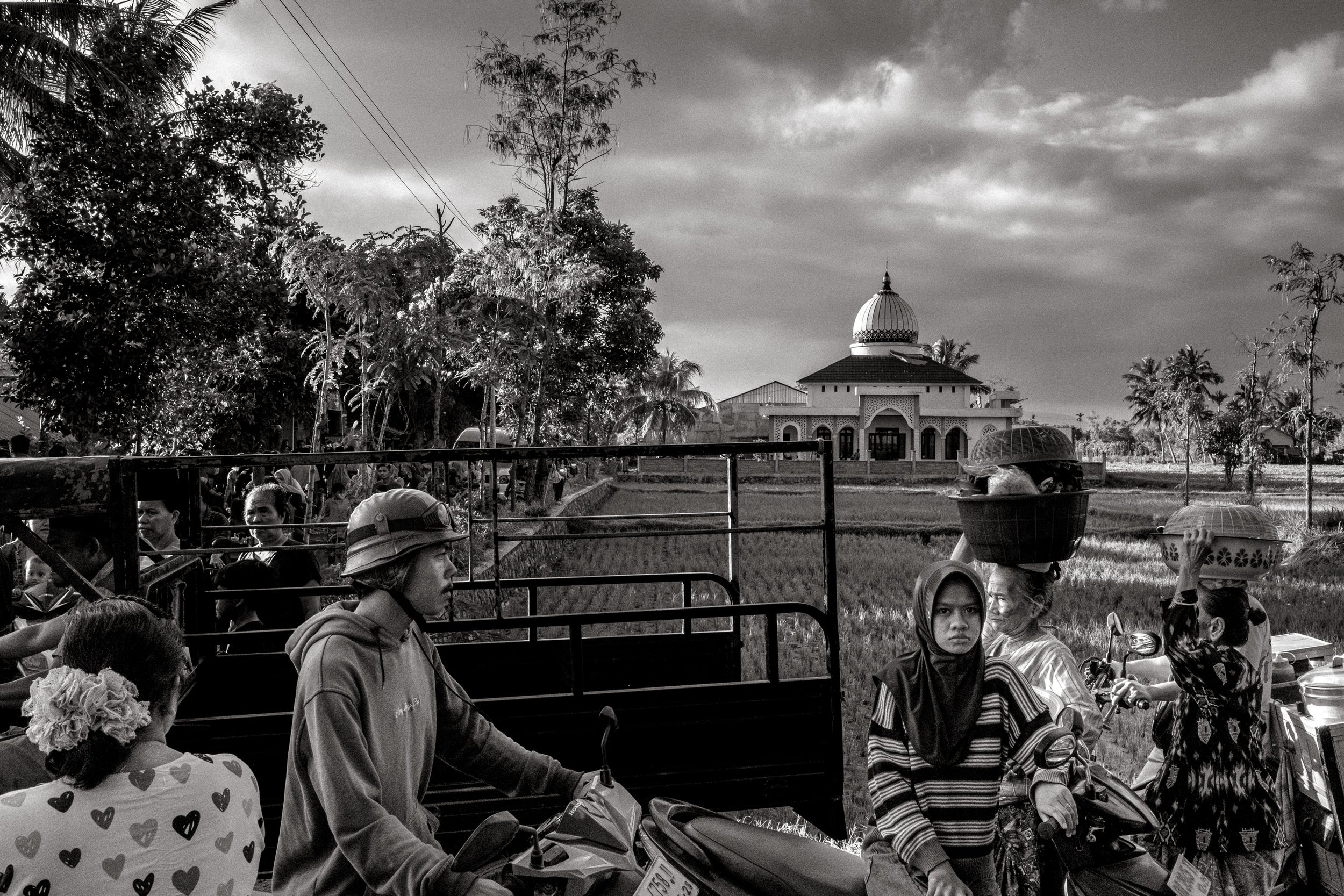 Vehicles and pedestrians share the road beside rice fields as the wedding gathering begins to move along the road, with a mosque in the background