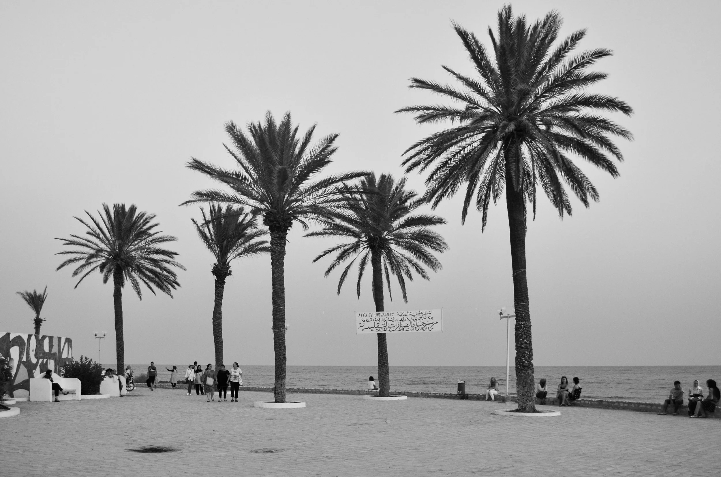 A beach scene in black and white with seven palm trees along the shoreline. People are walking and sitting on benches, with the ocean in the background. There is a sign between the trees, and some graffiti on the left wall.