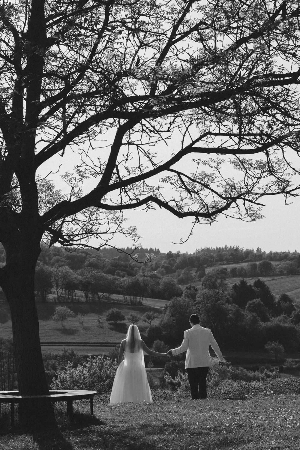 Brautpaar steht Hand in Hand unter einem Baum mit weiter Landschaft im Hintergrund bei Heilbronn.