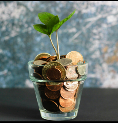 A glass cup filled with various coins with small green plant leaves sprouting from the coins