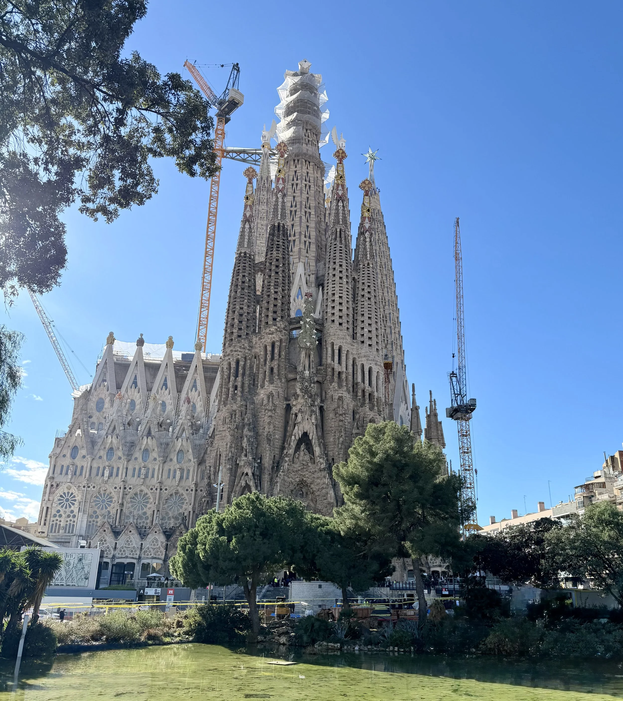 The Sagrada Familia basilica under construction with scaffolding, cranes, and trees in the foreground against a clear blue sky.