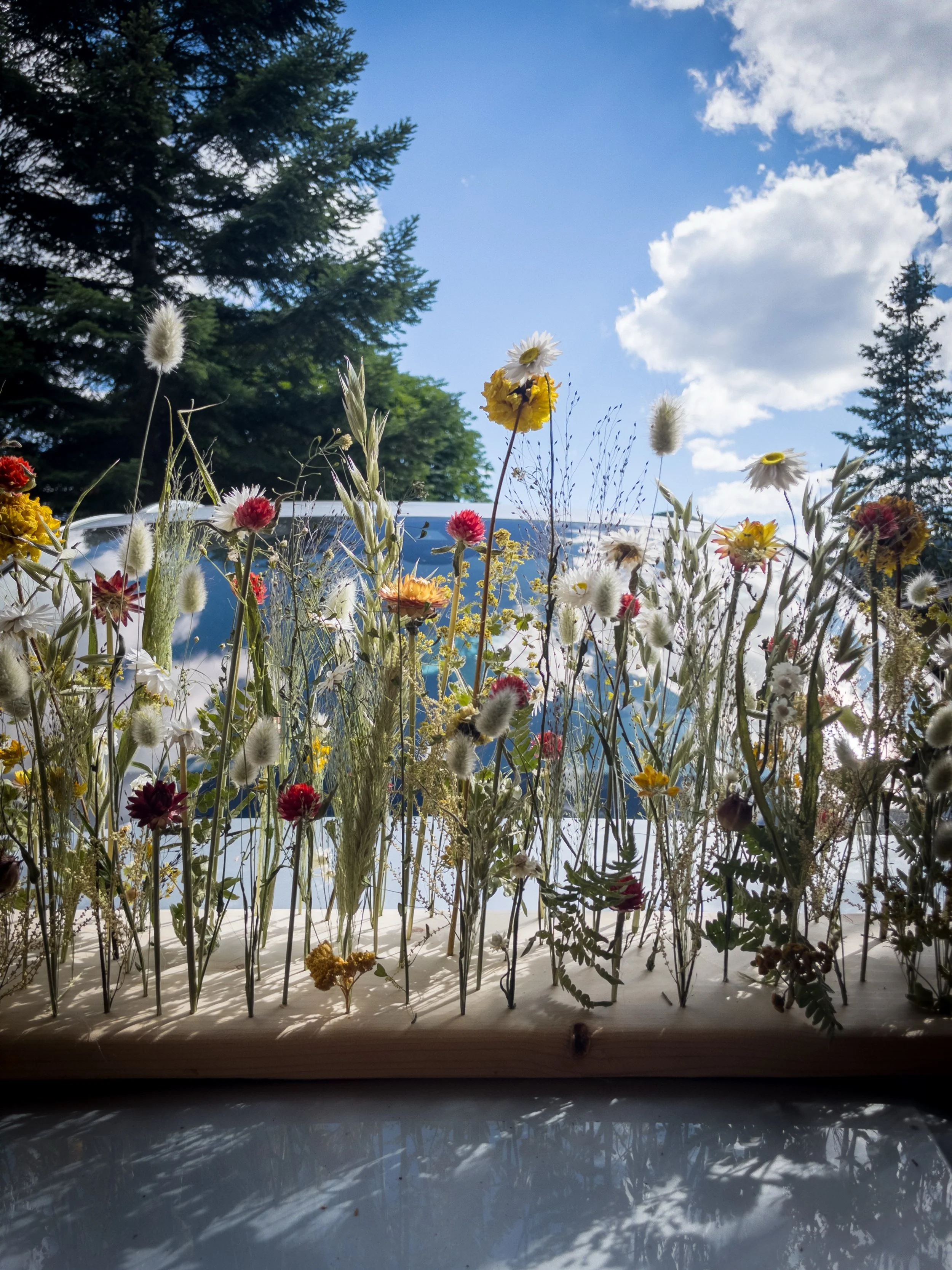 ❤️💛🤍 1 Meter Trockenblumenwiese in den K&auml;rntner Farben mit gr&uuml;ner Umrahmung 🌿🌾 - eine Dekoration, die lange Freude macht. Mit viel Liebe handgefertigt, bringt sie nat&uuml;rliche Sch&ouml;nheit und ein St&uuml;ck Heimat in dein Zuhause.