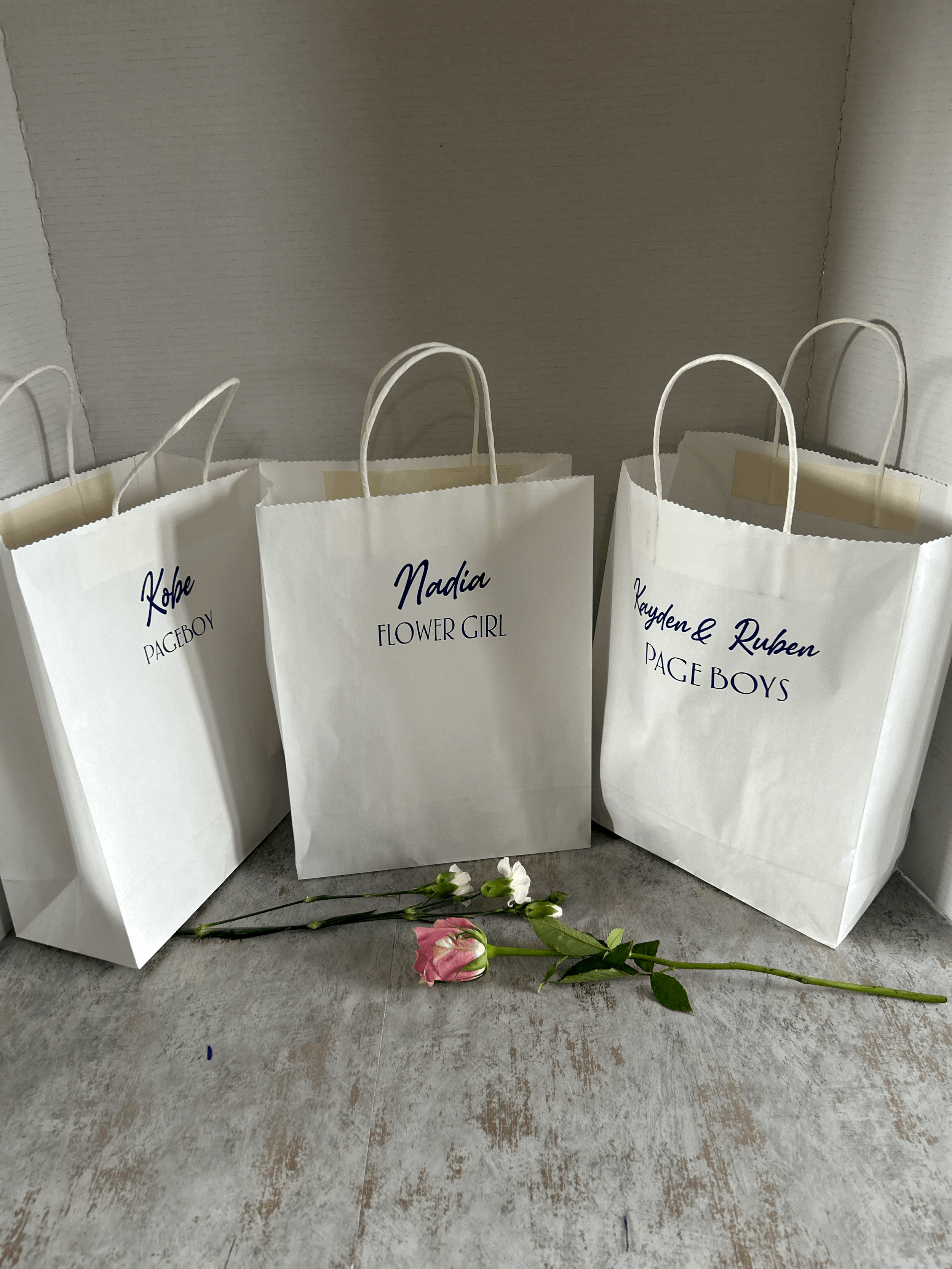 Budget Paper Gift Bag