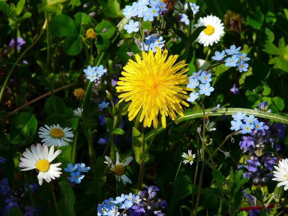 An End of Life Doula and a Humanist Funeral Celebrant