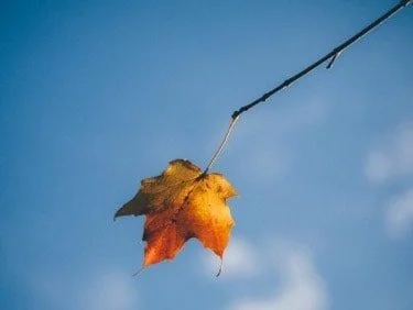 How Can We Recognise Death is Approaching?