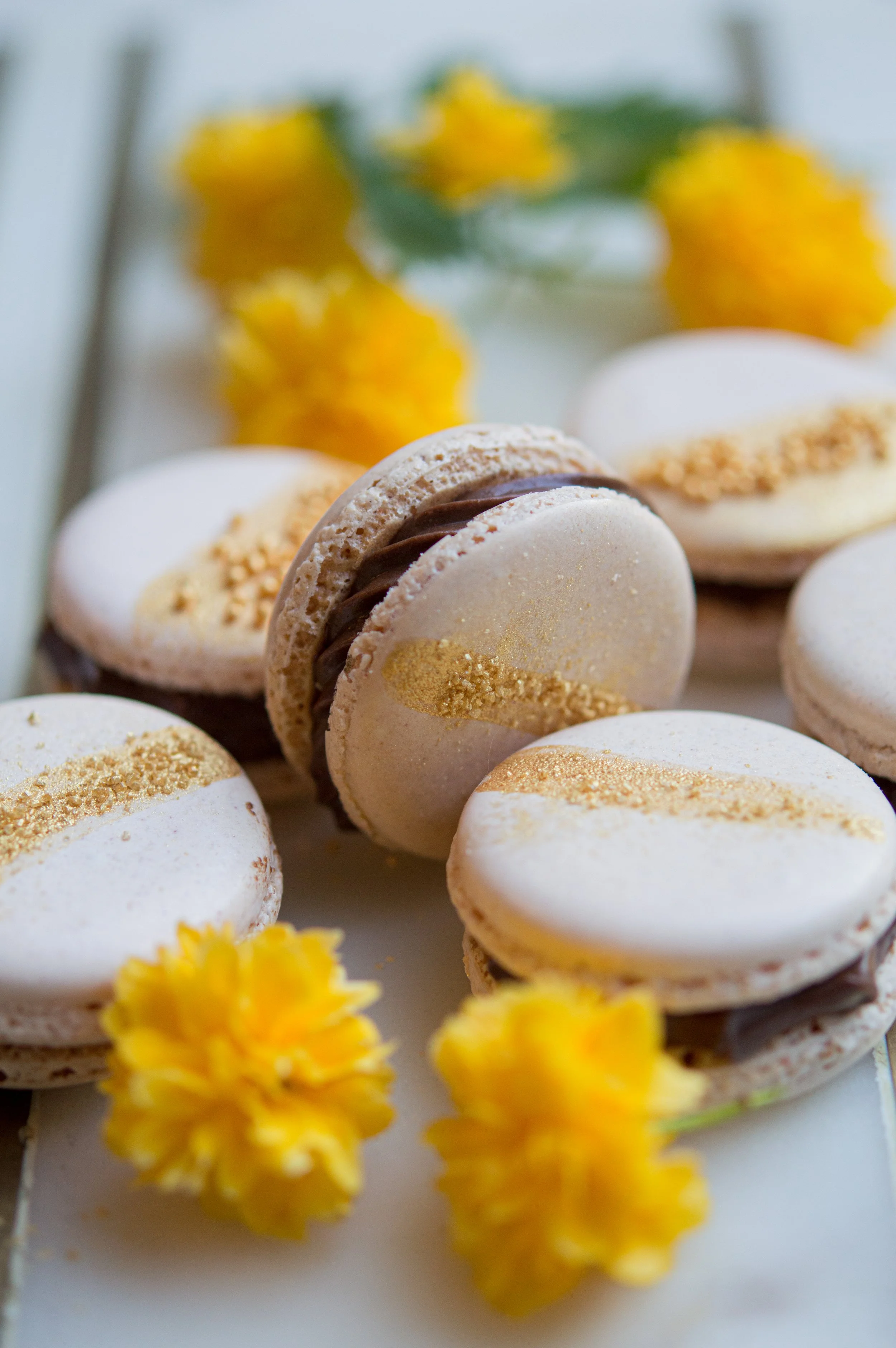 Chocolate filled Macarons