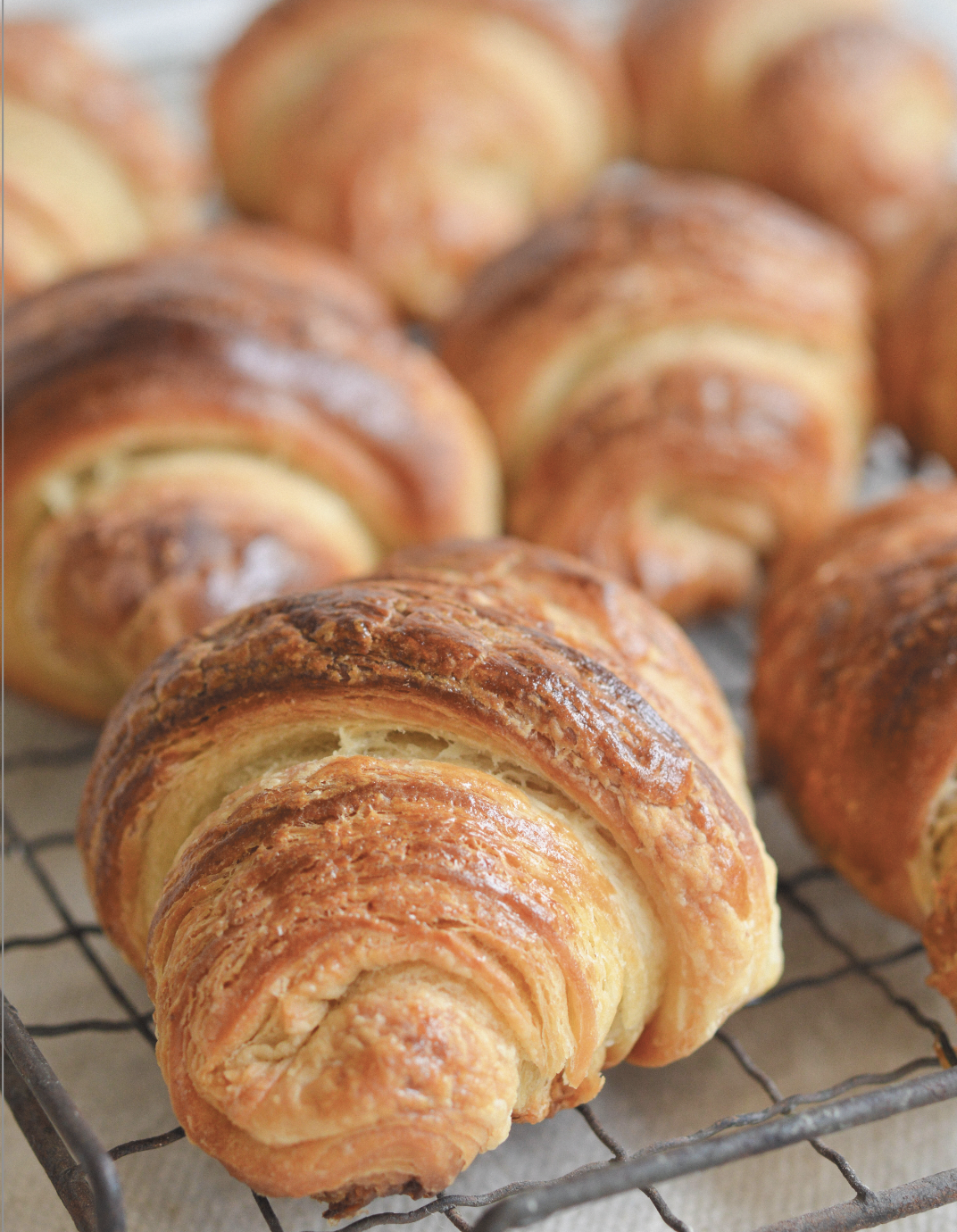 Pâte à Croissant