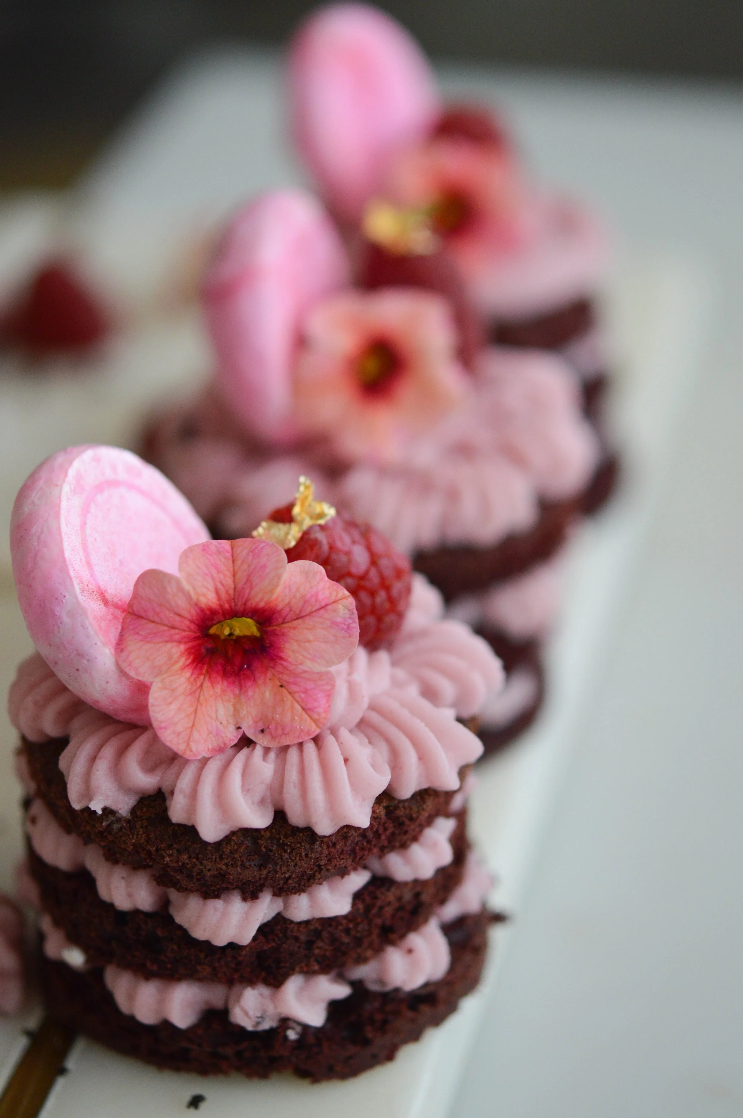 Chocolate and Raspberry Mini Cakes