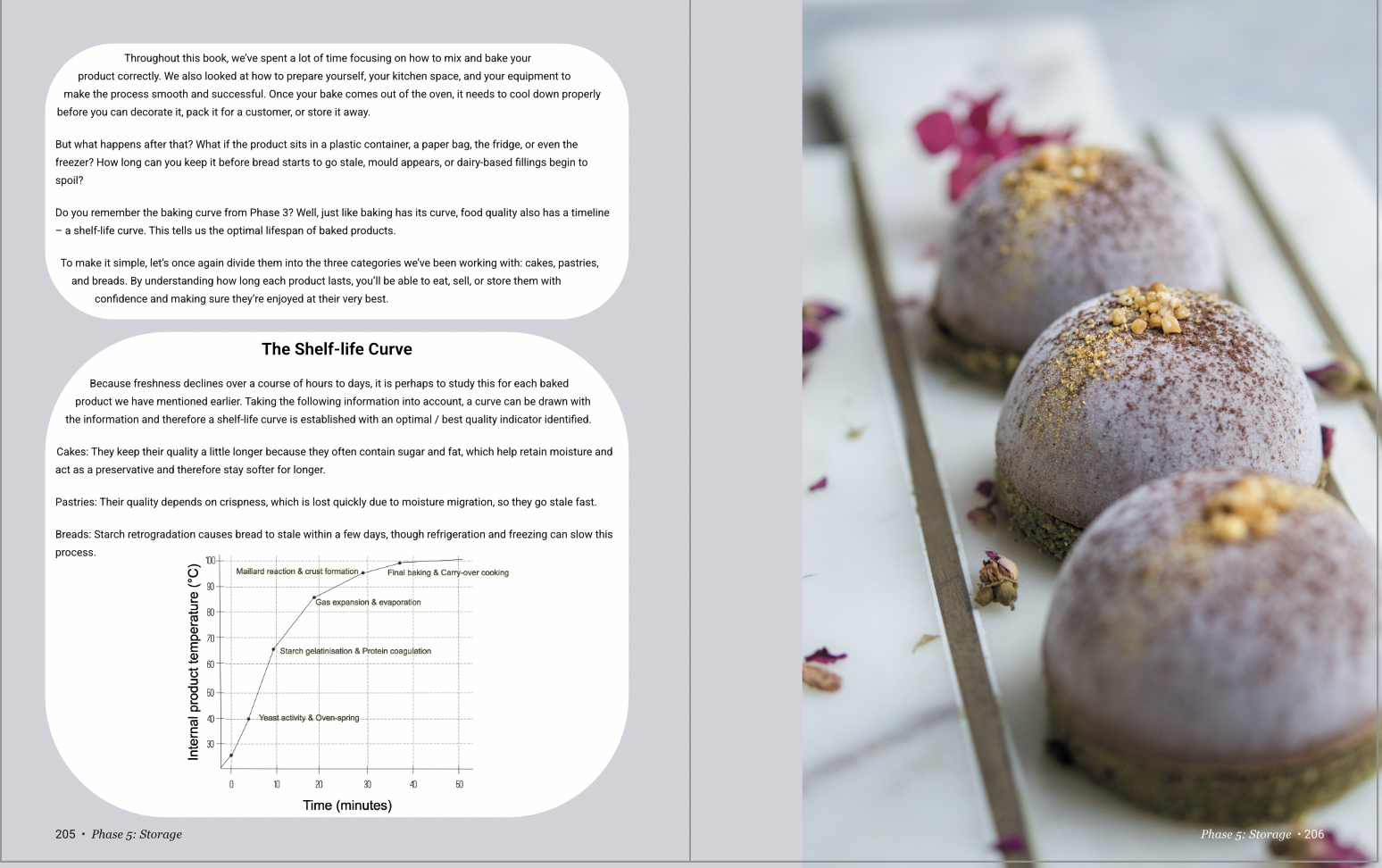 Book preview