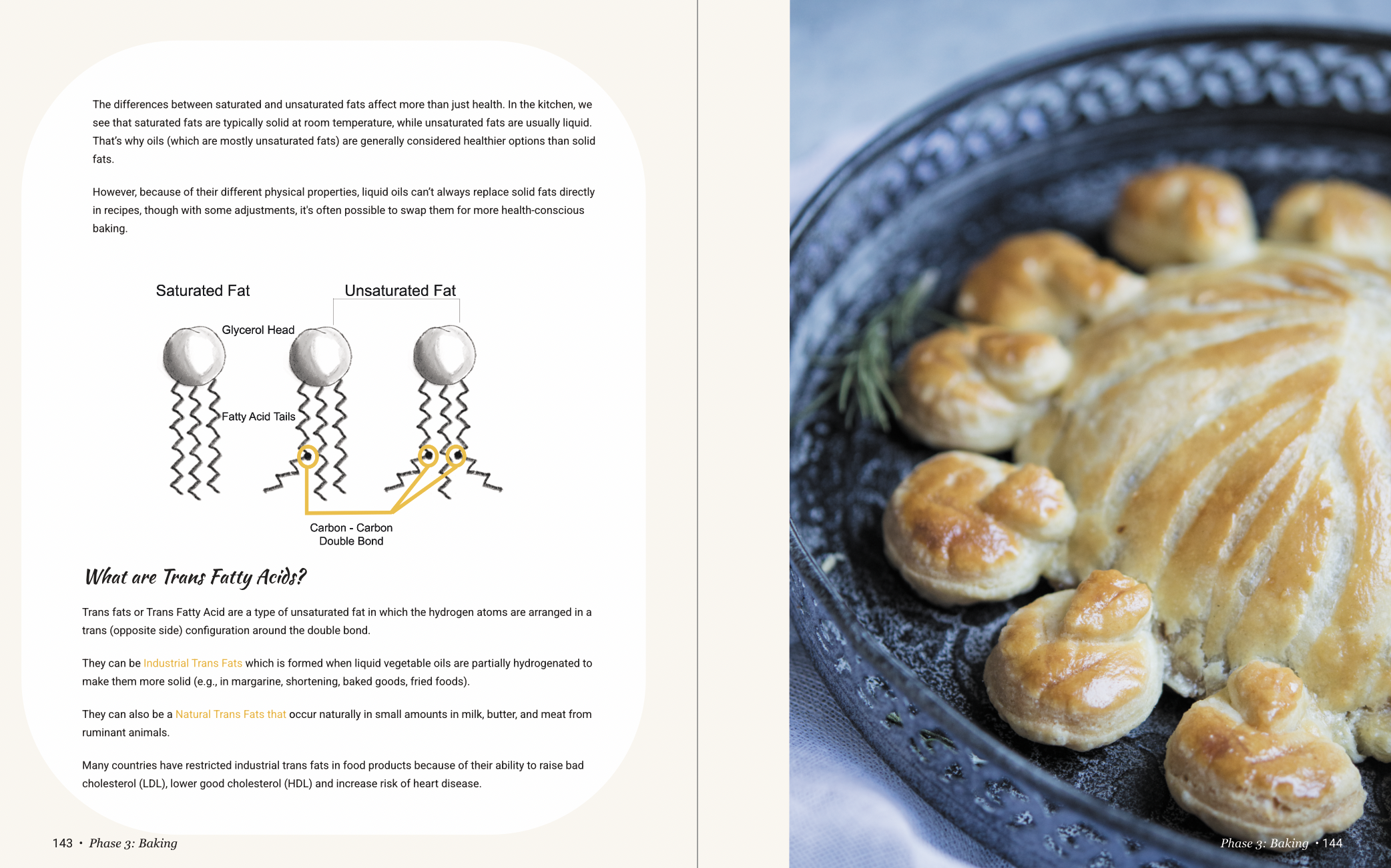 book preview