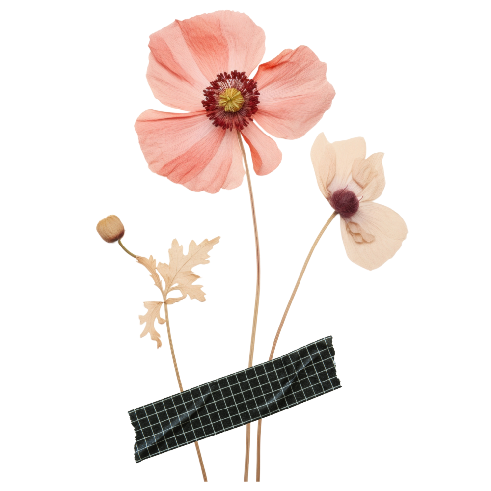 A dried flower bouquet with pink and beige flowers held together with black and white checkered tape.