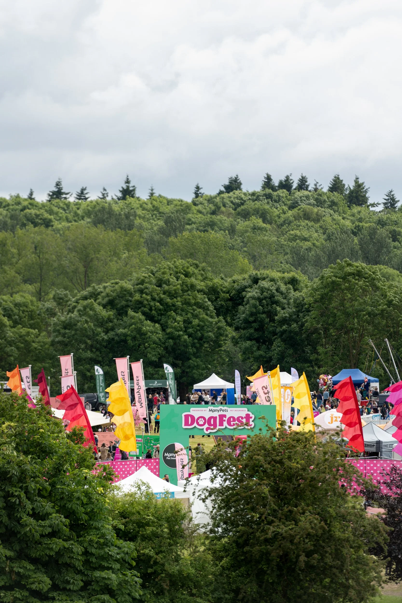 An outdoor event called DogFest with various tents, flags, and booths, surrounded by greenery and trees, under a cloudy sky.