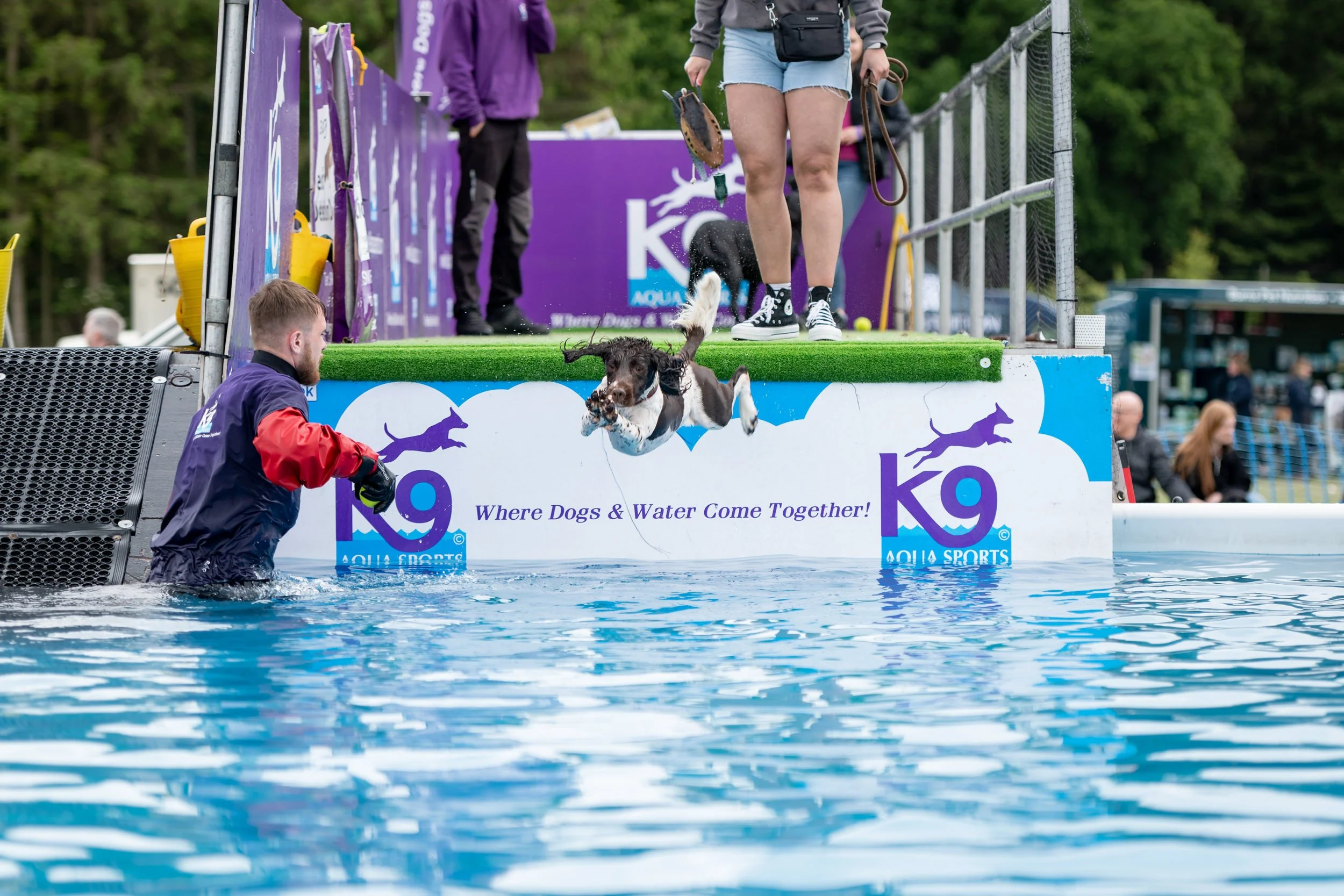 A dog jumps off a platform into a pool during a dock diving event at an Aqua Sports competition, with a person in the water and on the platform, and spectators in the background.