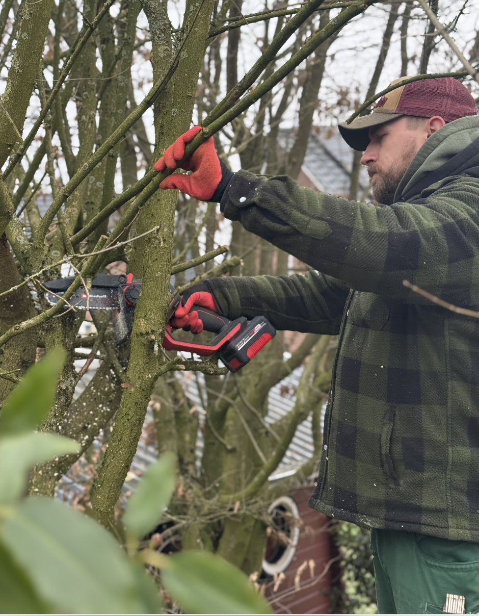 Ein Mann schneidet Äste eines Baumes mit einer elektrischen Astschere im Garten, trägt rote Handschuhe und eine grüne Jacke.