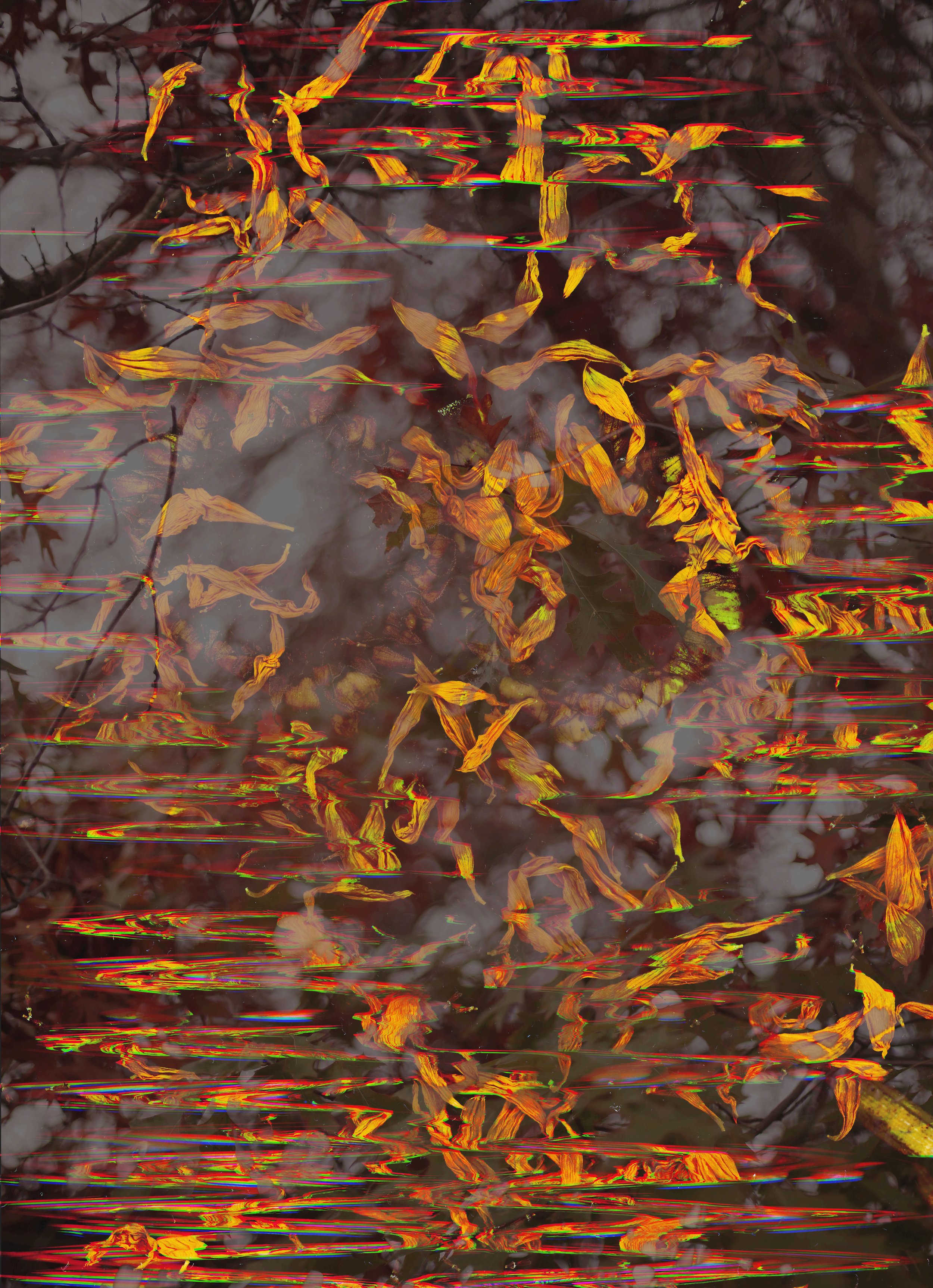 Reflections of autumn leaves on water with digital glitch effects.