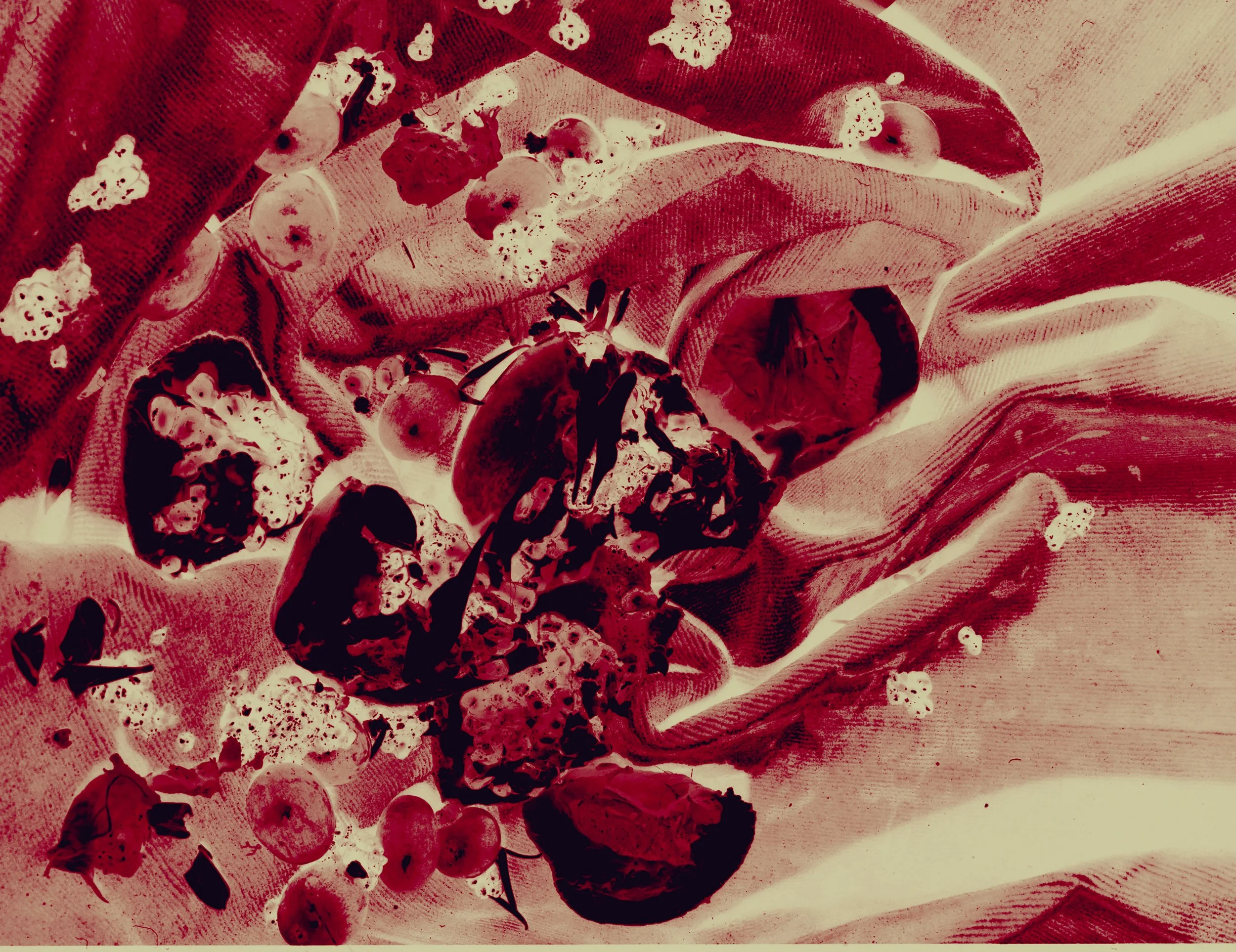 A cloth with berries and leaves, with some spilled onto a surface, featuring a spider on the cloth.