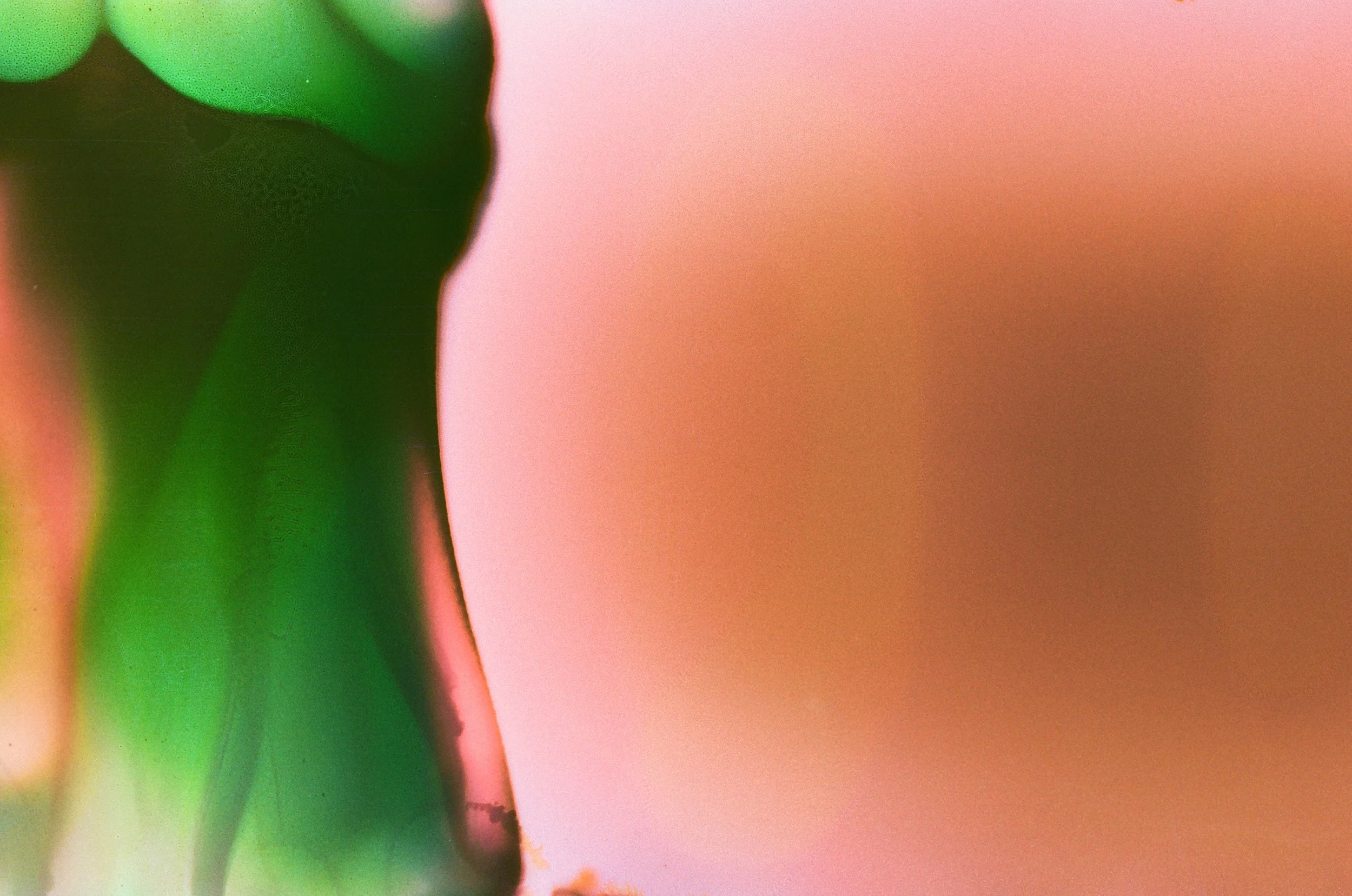 Close-up of green and black objects against a pink background.