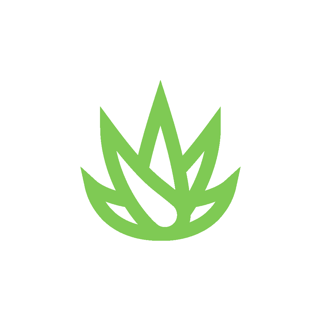 Lawn Care