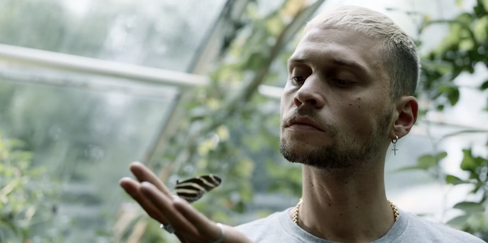 A man with short blonde hair, earrings, and a gold chain, inspecting a butterfly on his hand inside a greenhouse with green plants in the background.