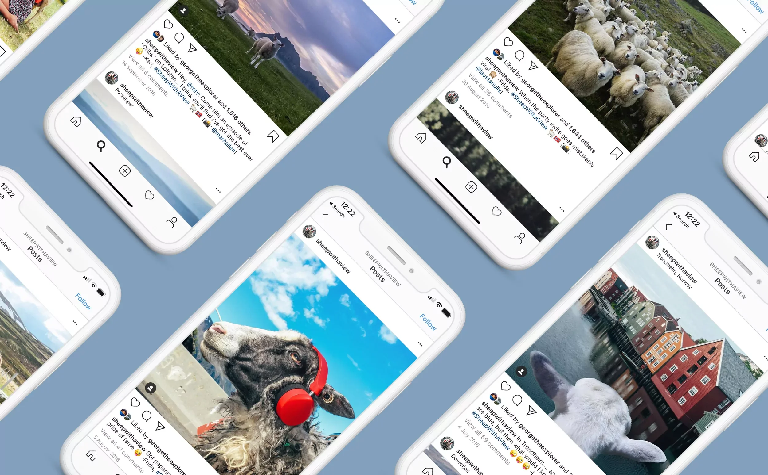 Multiple smartphones, each displaying different social media posts featuring animals and scenic landscapes, arranged in a pattern on a light blue background.