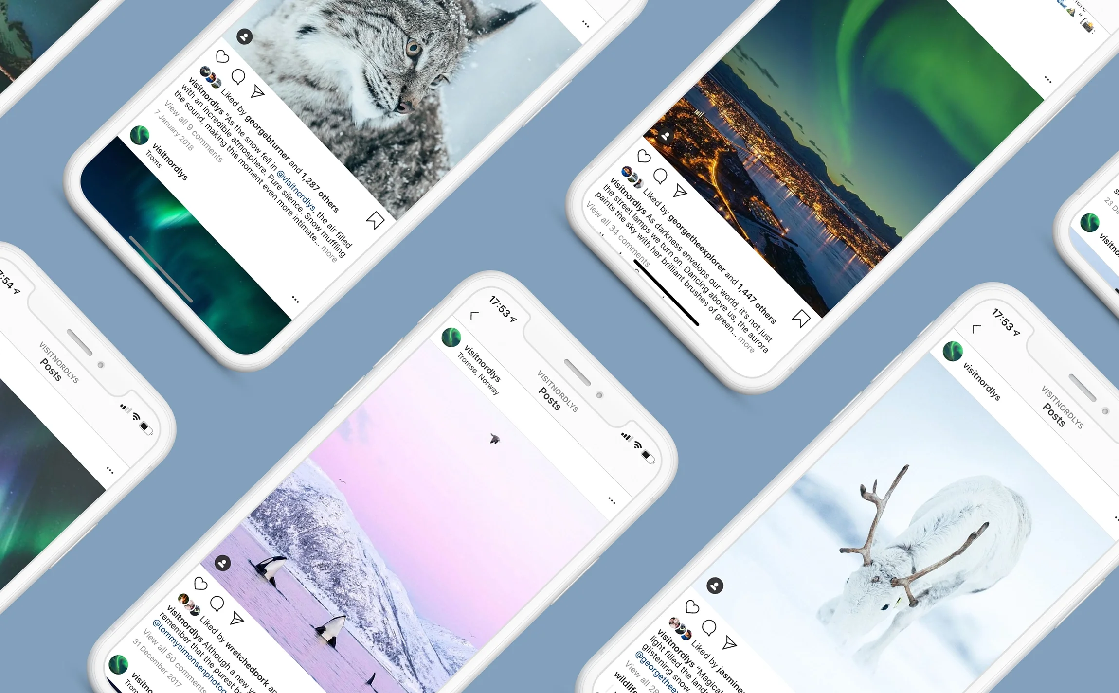 Multiple smartphones displaying Instagram posts with nature photographs, including a snow leopard, northern lights, glaciers, the aurora borealis, a fjord at night, and a reindeer in snow.