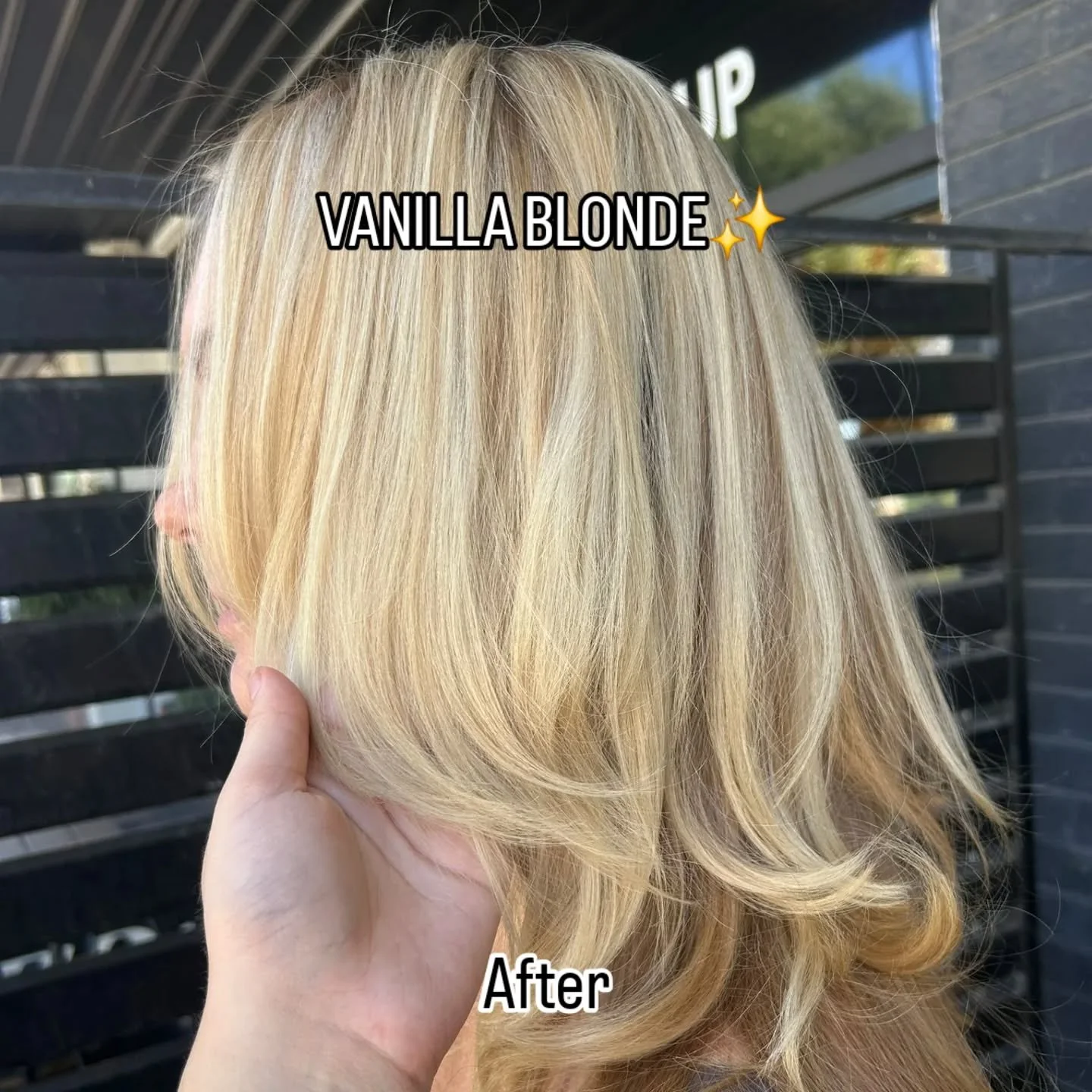 Amazing Vanilla Blonde results on this glowup by upcoming colourist Honey 💖
Emerging Colourist✨️
DM or 📞 9341 1396 
#vanillablonde #perthsalon #glowup #2026❤️ #beforeandafter
