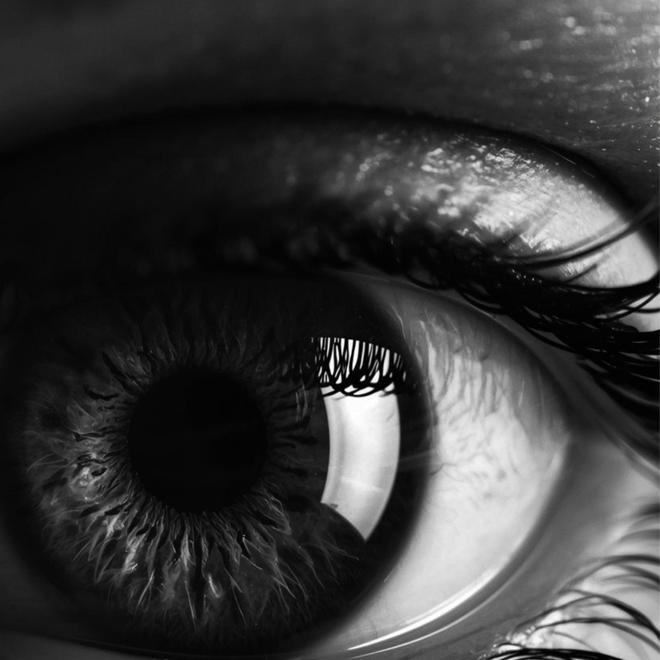 “Why am I embarrassed to share my site?”