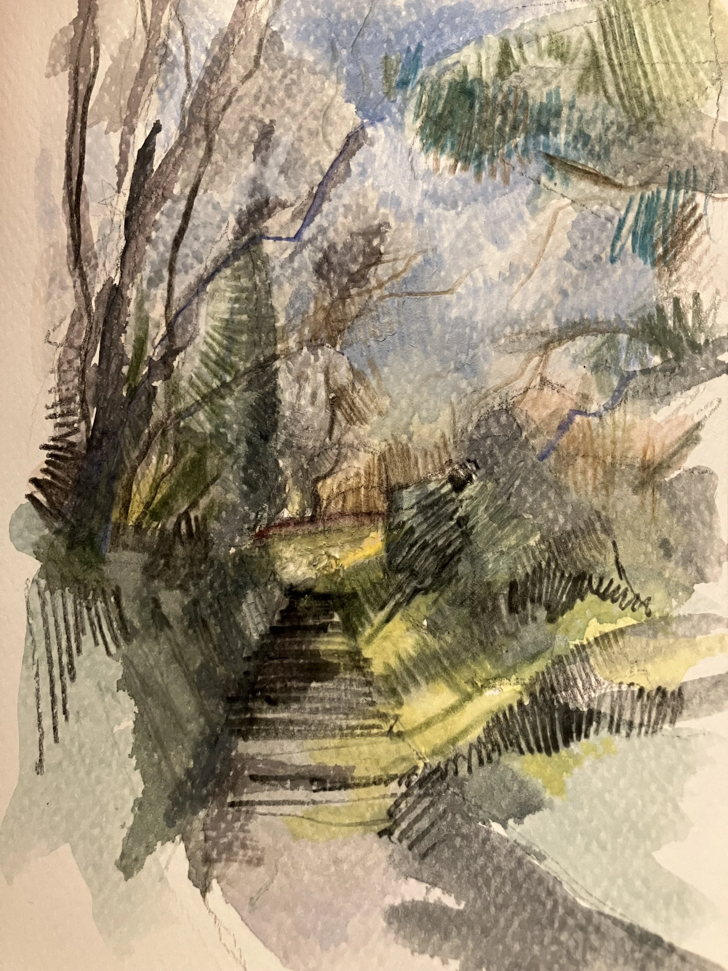IMG_8314.jpeg