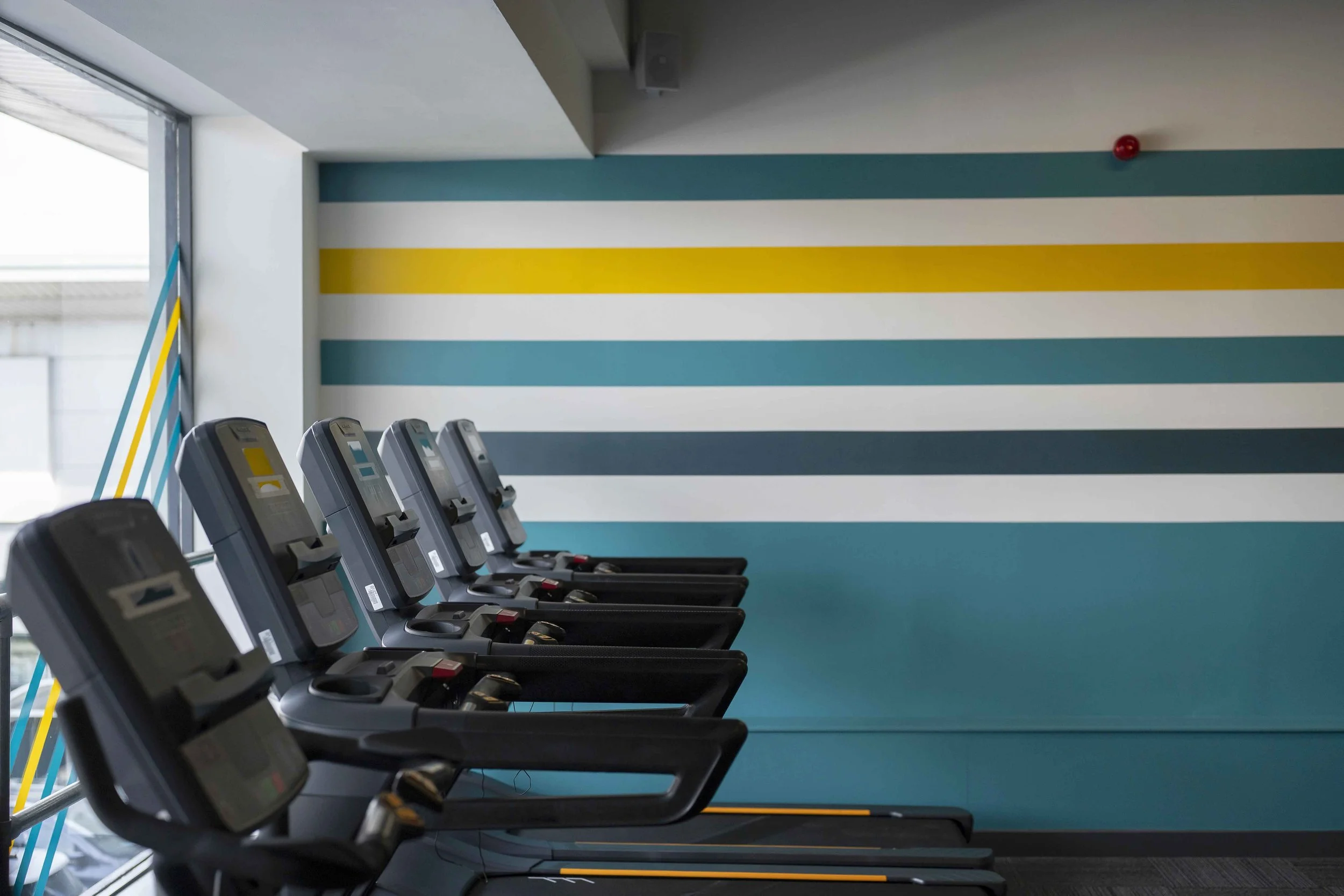 gym with a row of treadmills facing a wall painted with horizontal stripes in blue, white, and yellow