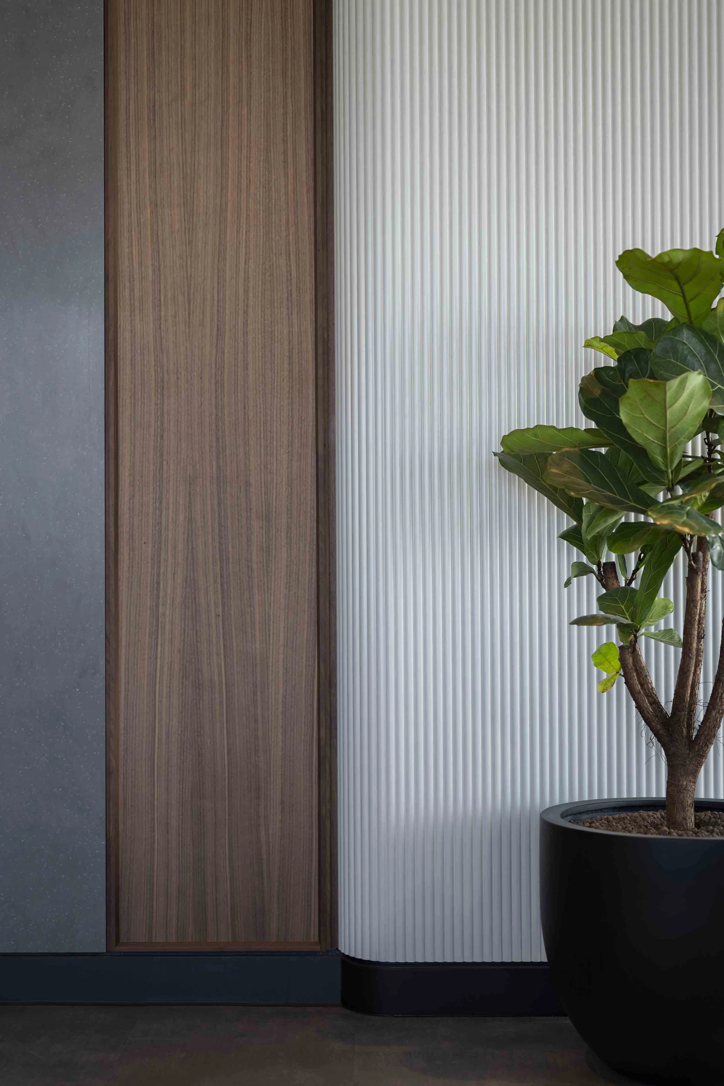 Indoor scene with a potted plant featuring green leaves in a black pot, positioned near a wall with a vertical striped white panel, adjacent to a wooden panel and a dark gray textured wall.