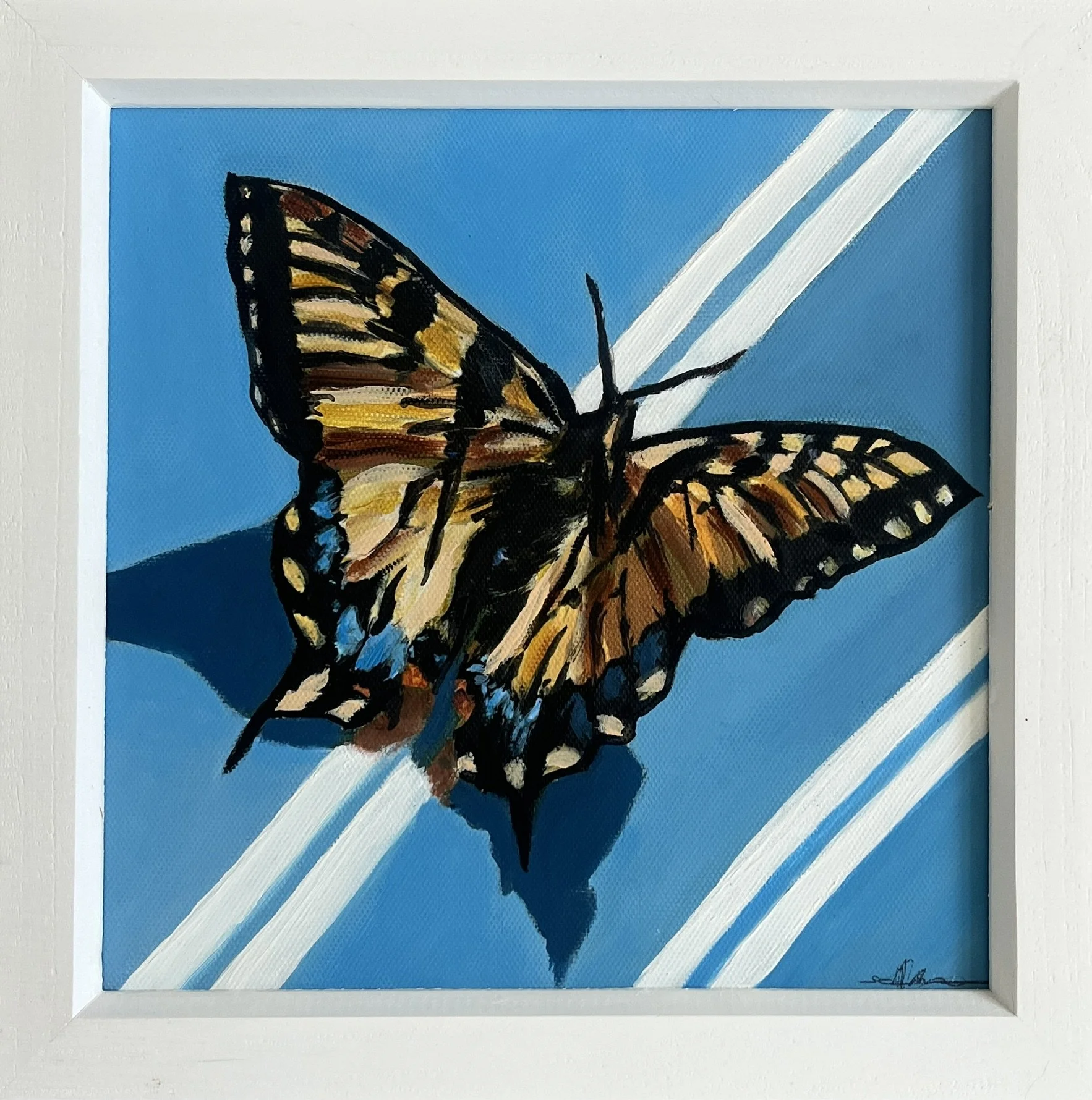 Blue Butterfly