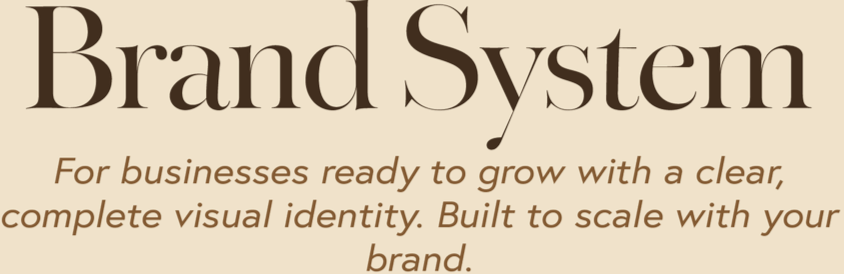 Text reading "Brand System" with a subtitle about business visual identity and branding.