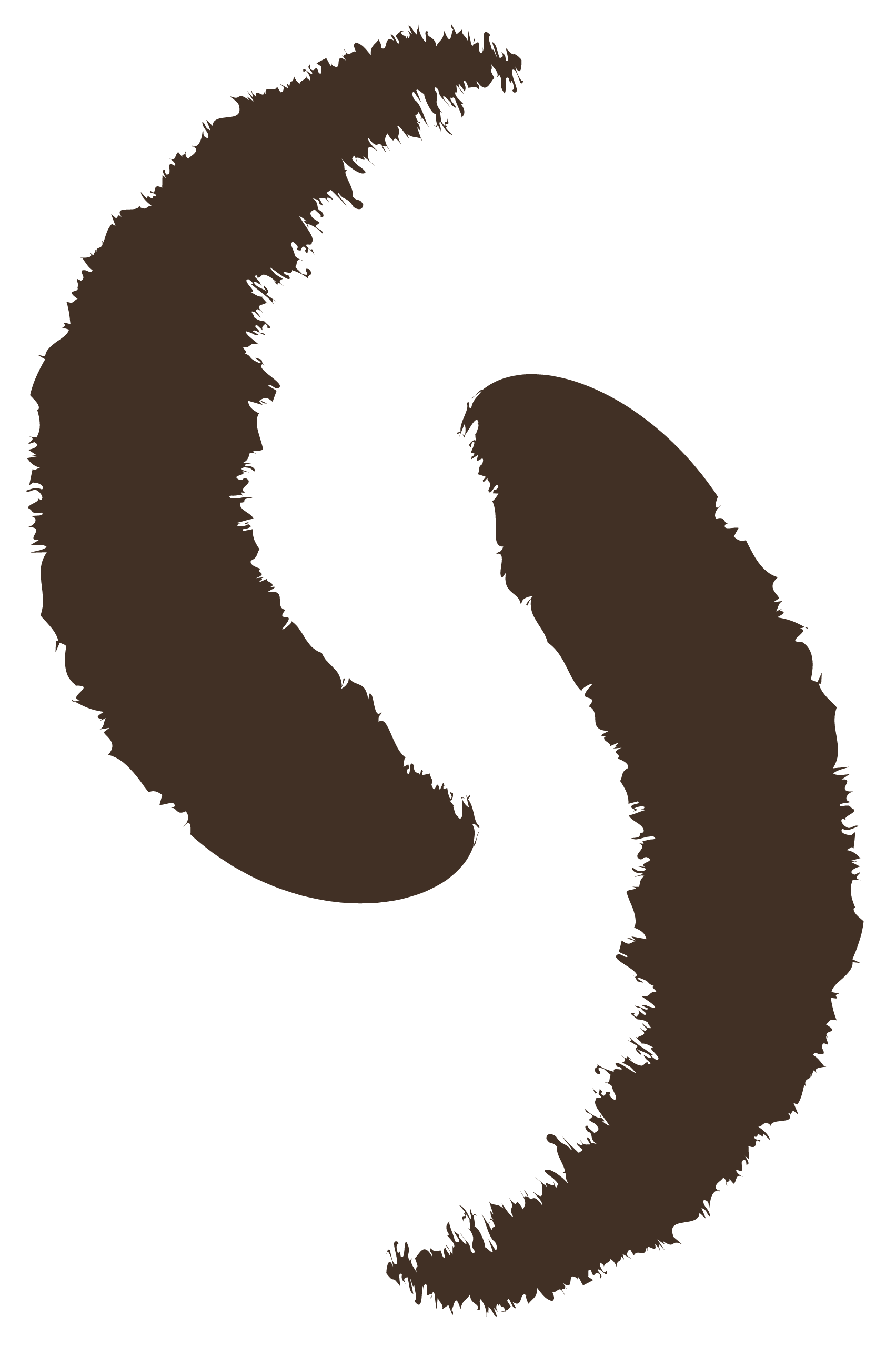 A digital illustration of two coffee beans against a black background.