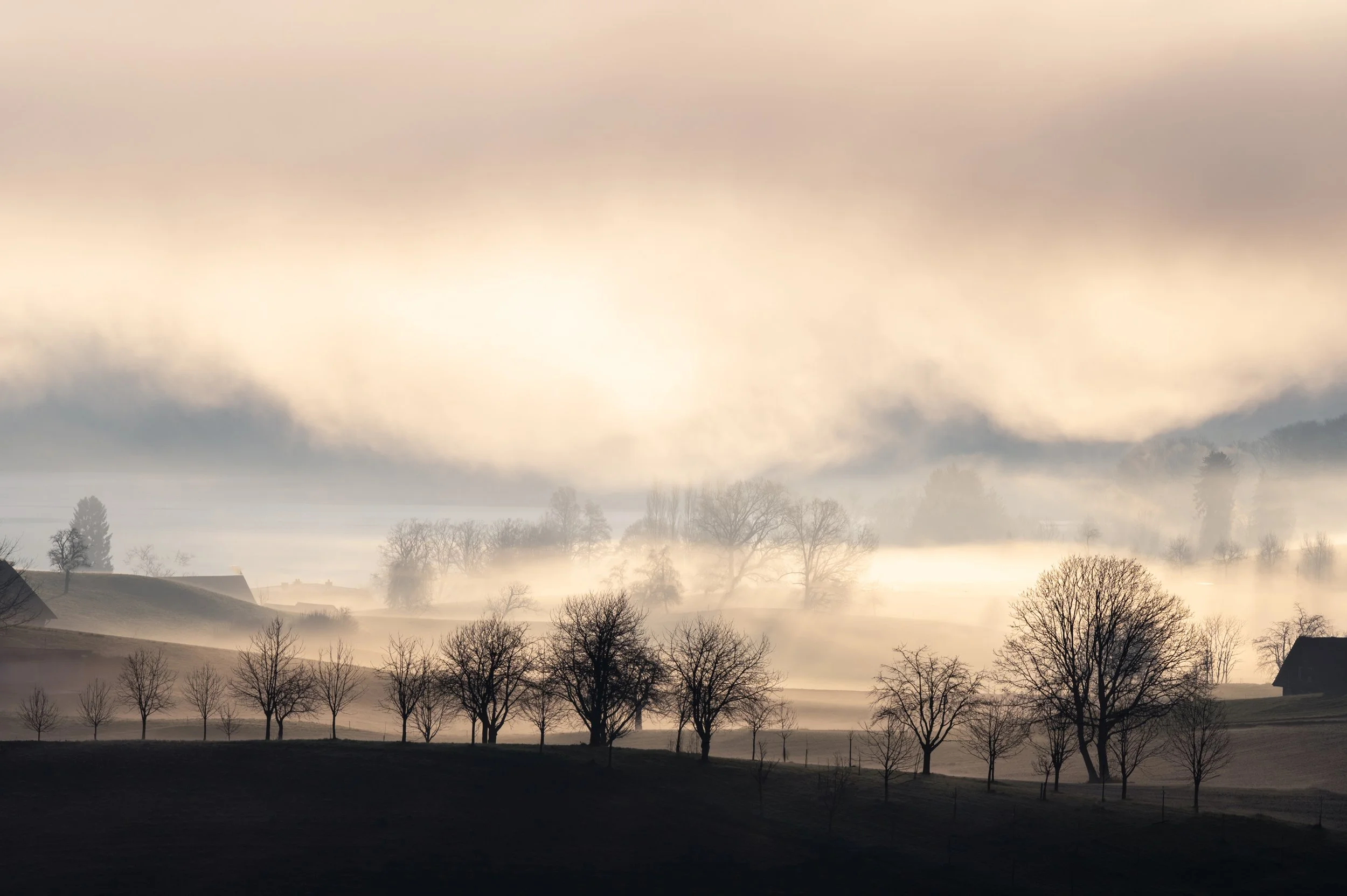 Landschaft mit Bäumen, Nebel und Wolken bei Sonnenaufgang oder -untergang