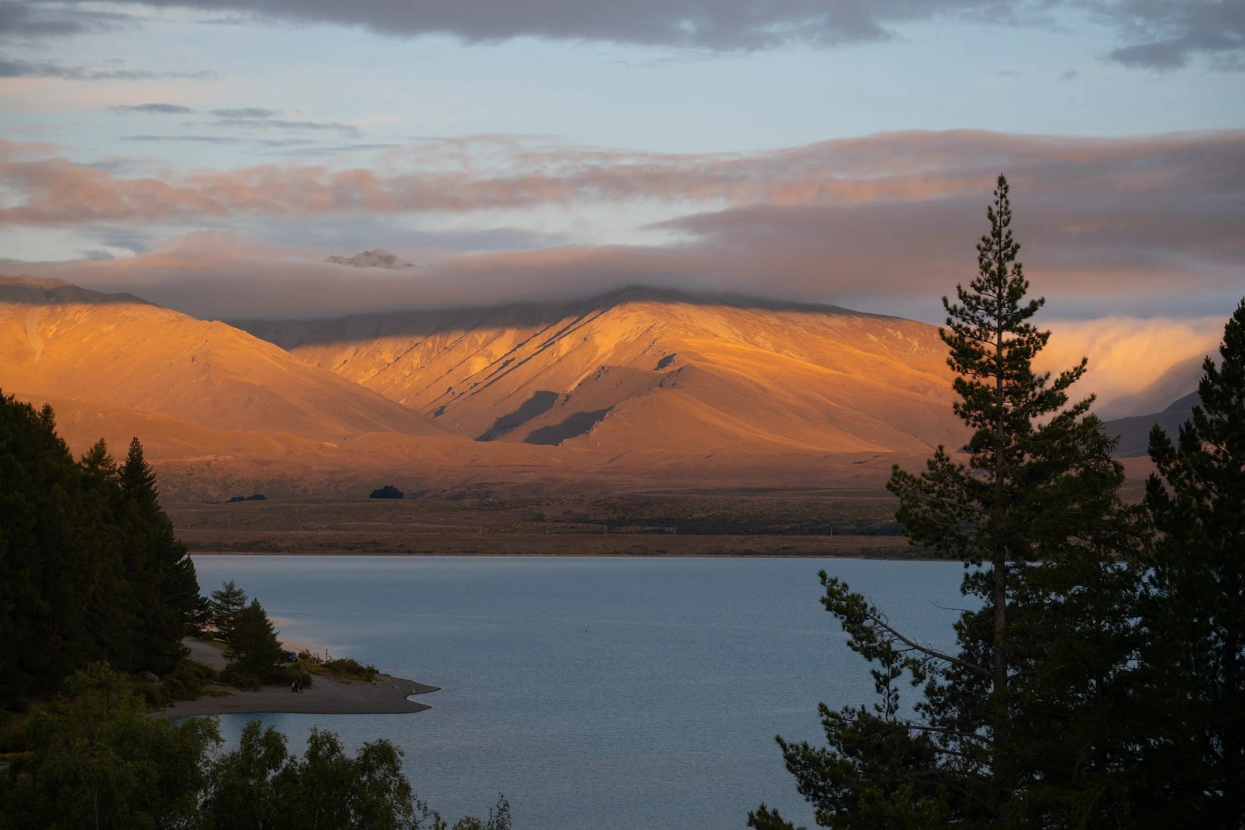 NZ8_0160.jpg