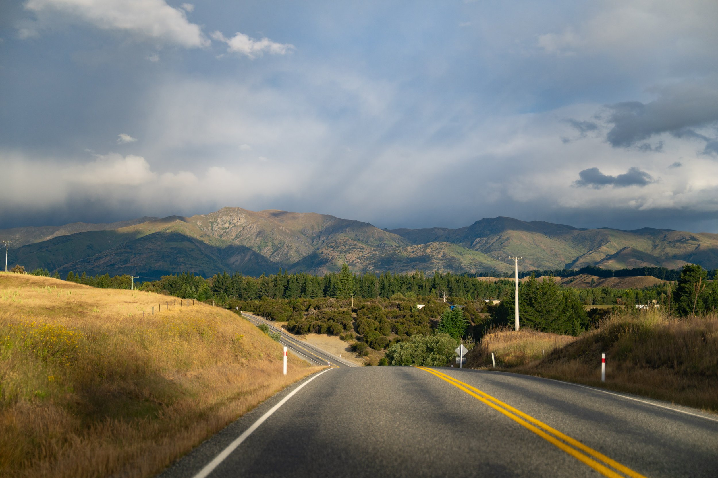 NZ8_5839.jpg