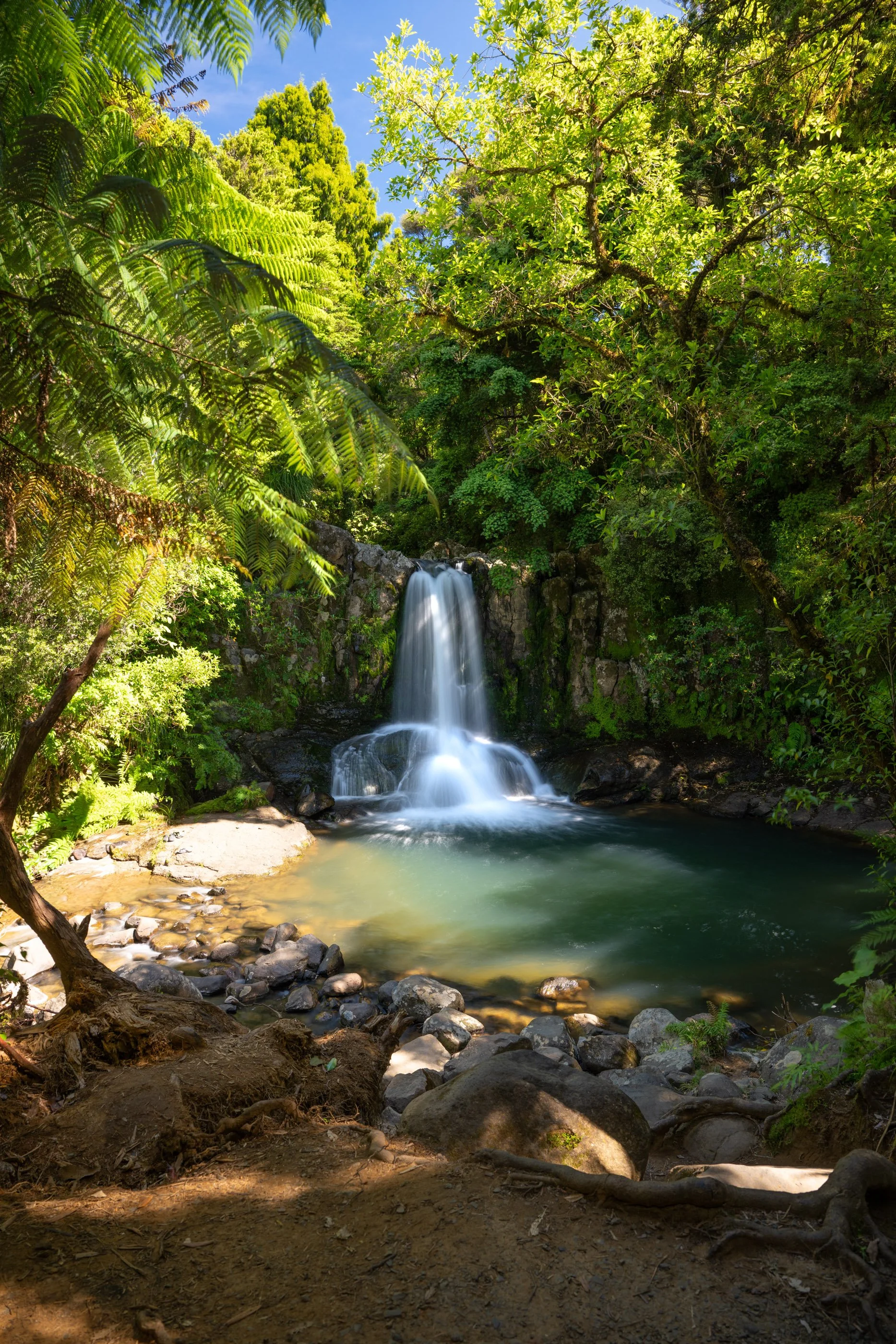 Ein Wasserfall fließt in einen kleinen See, umgeben von üppigem grünen Dschungel an einem sonnigen Tag.