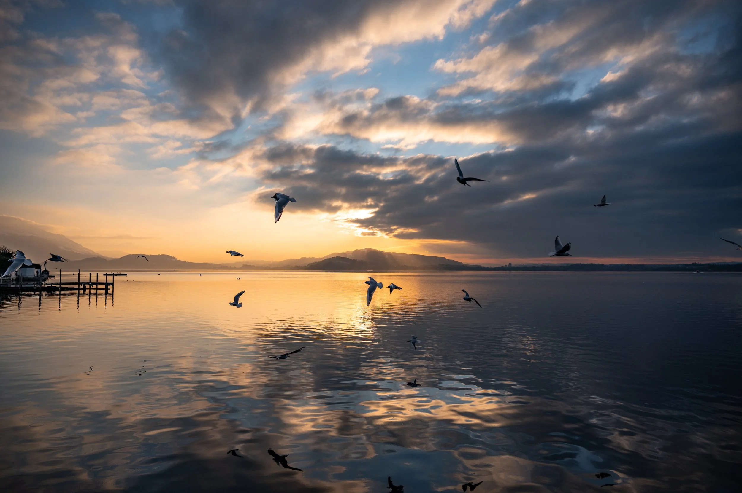 Sonnenuntergang über einem See mit fliegenden Möwen und Wolken am Himmel.