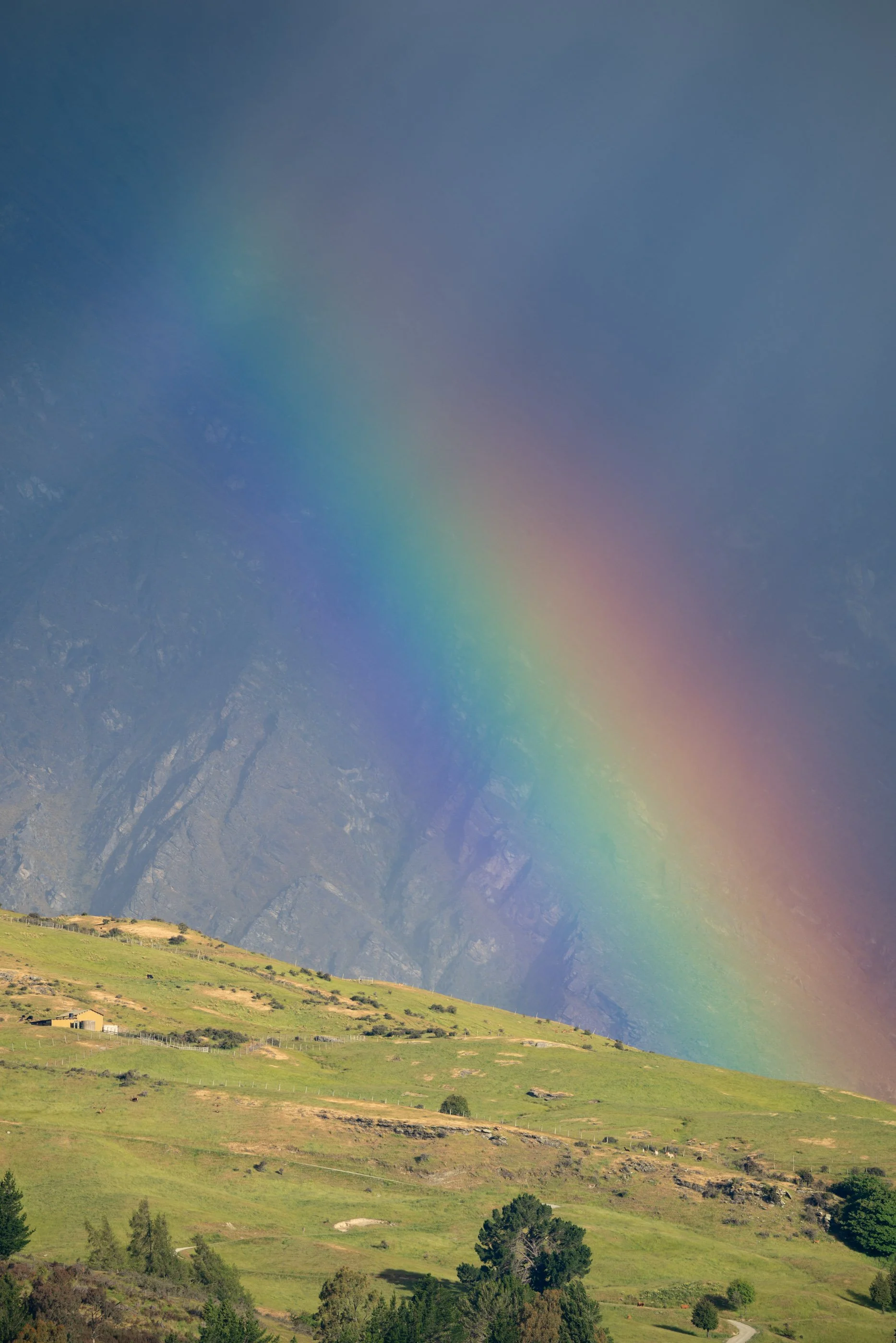 NZ8_6922.jpg