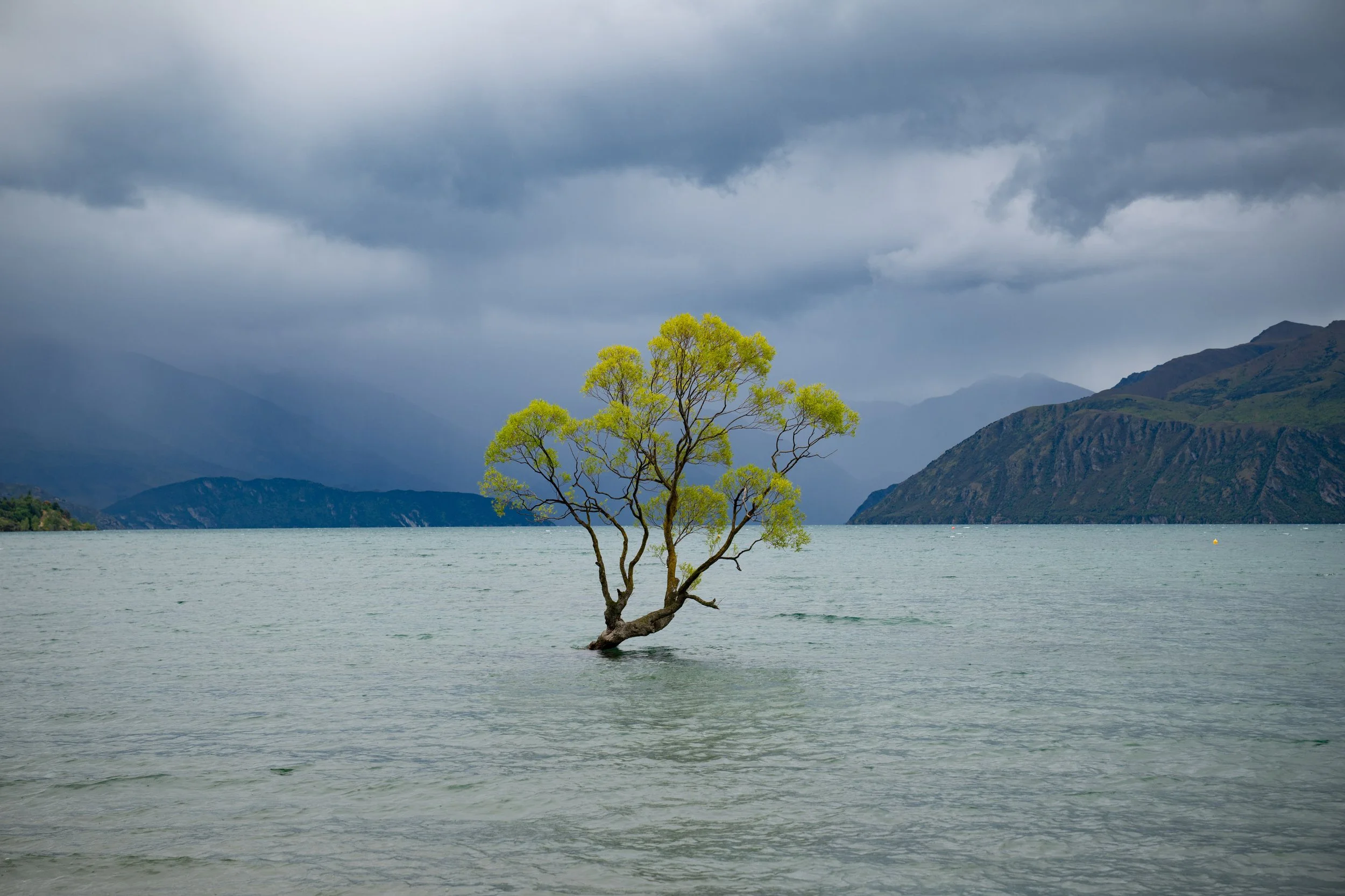 NZ8_5263.jpg