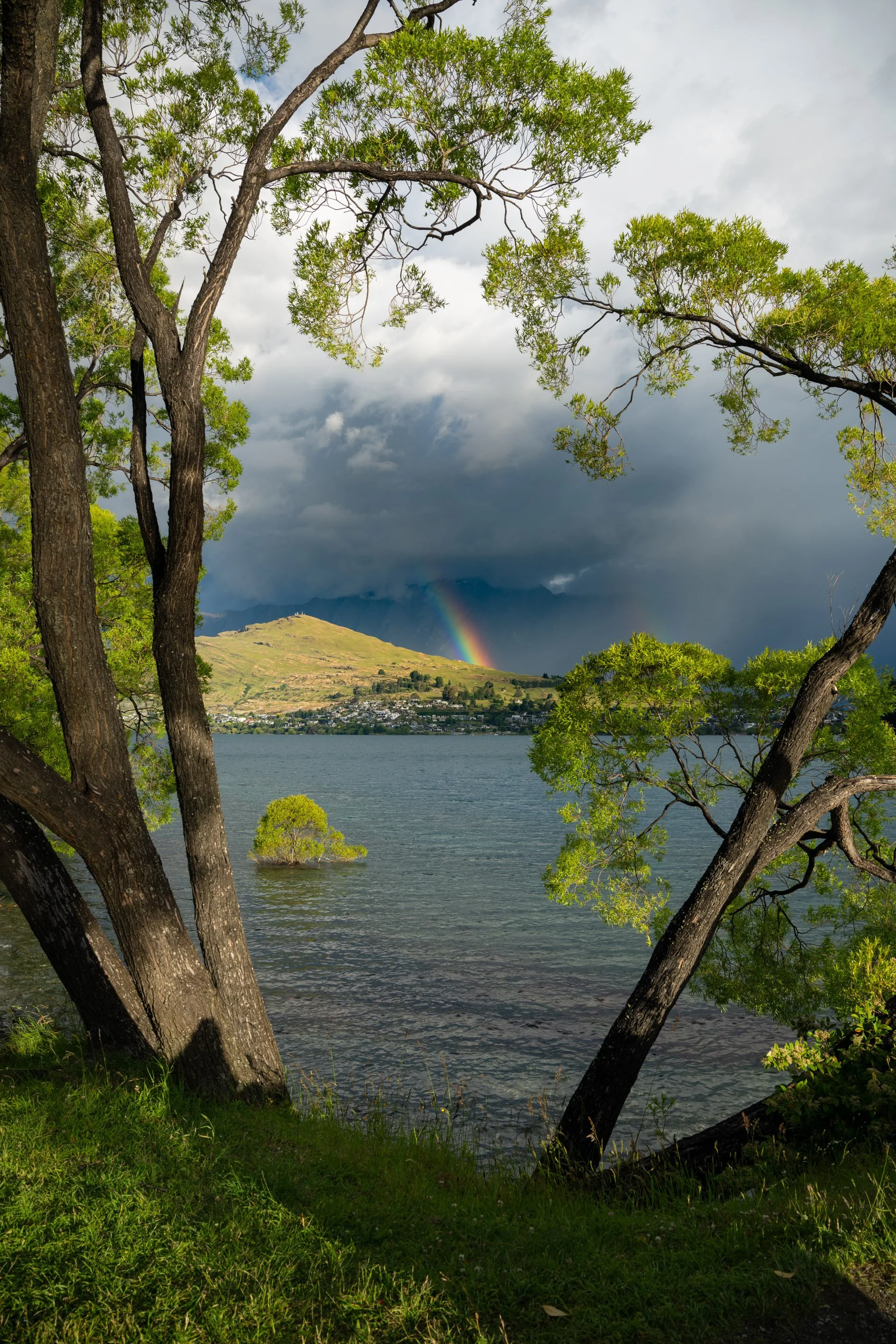 NZ8_7021.jpg